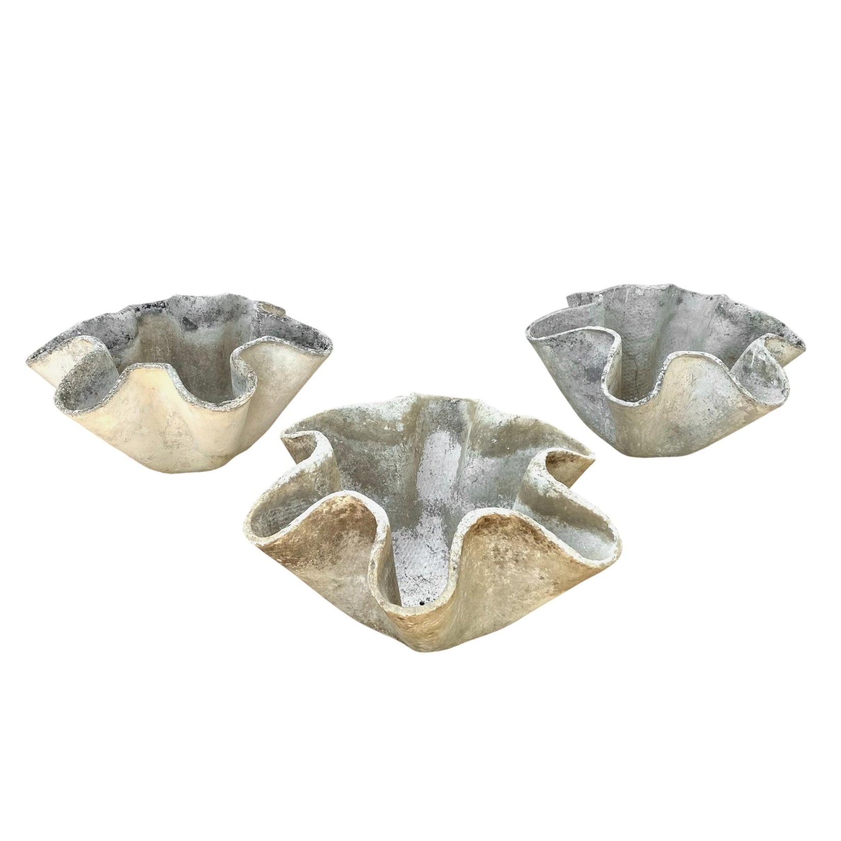 Clam Shell Planters