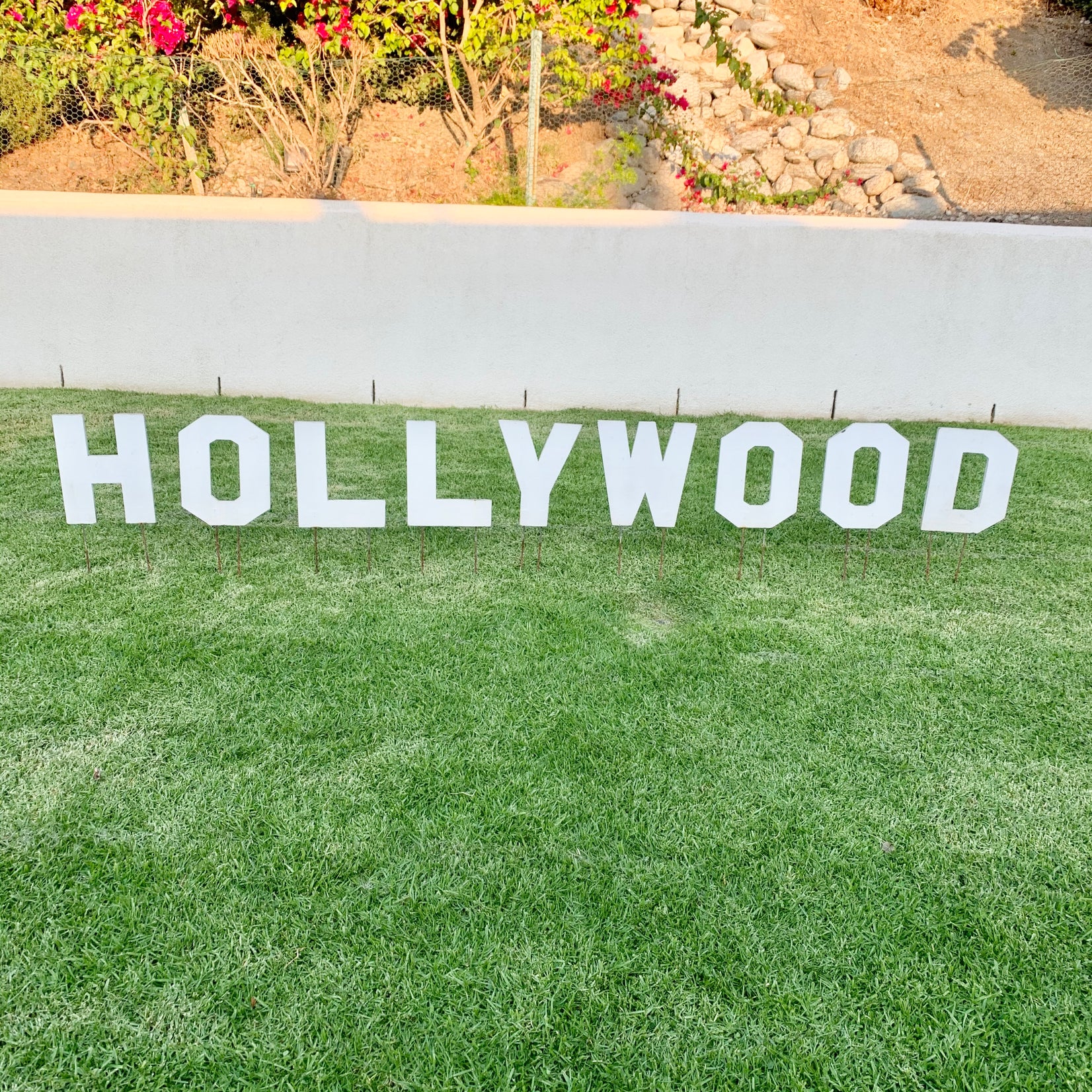 Hollywood Sign Artist Model