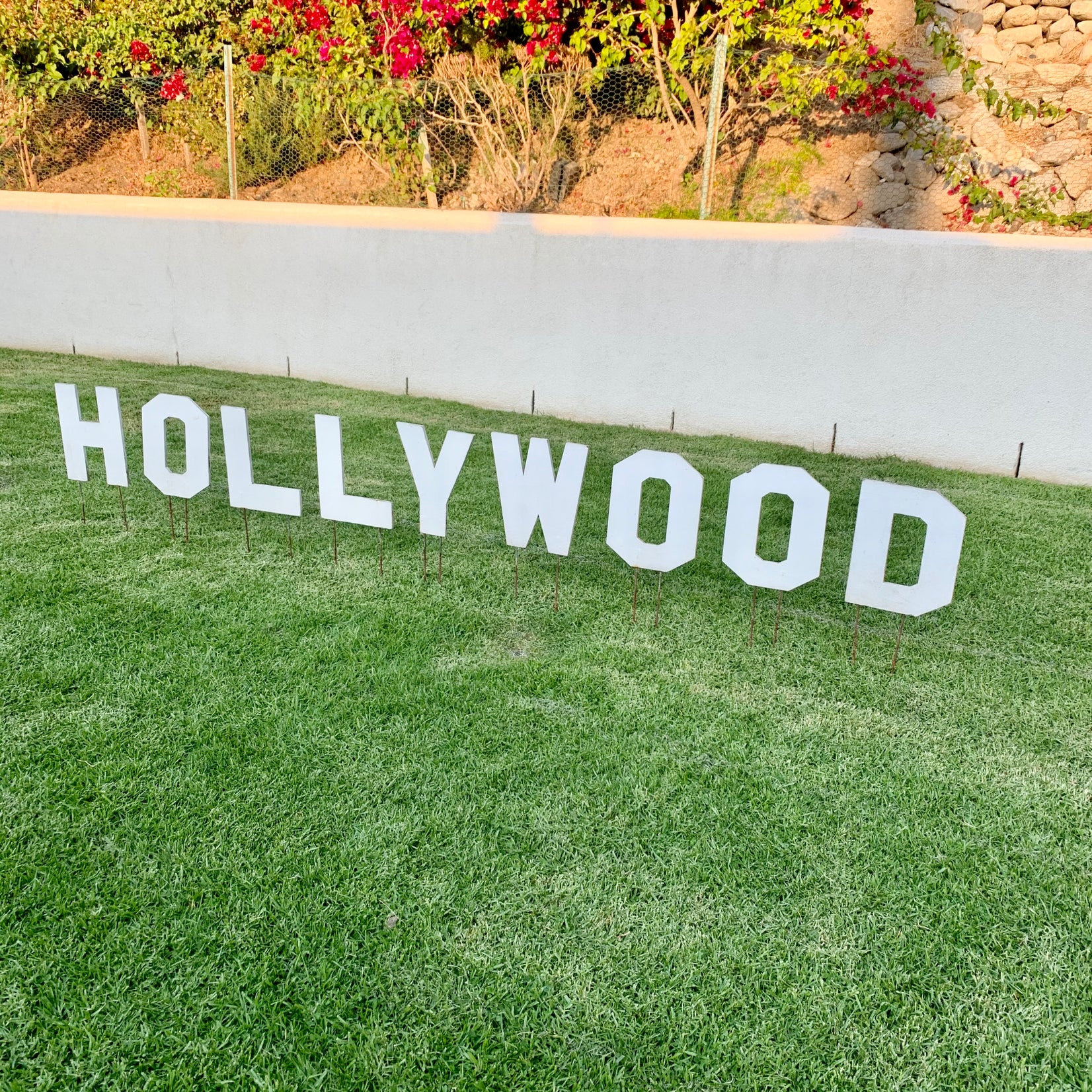 Hollywood Sign Artist Model
