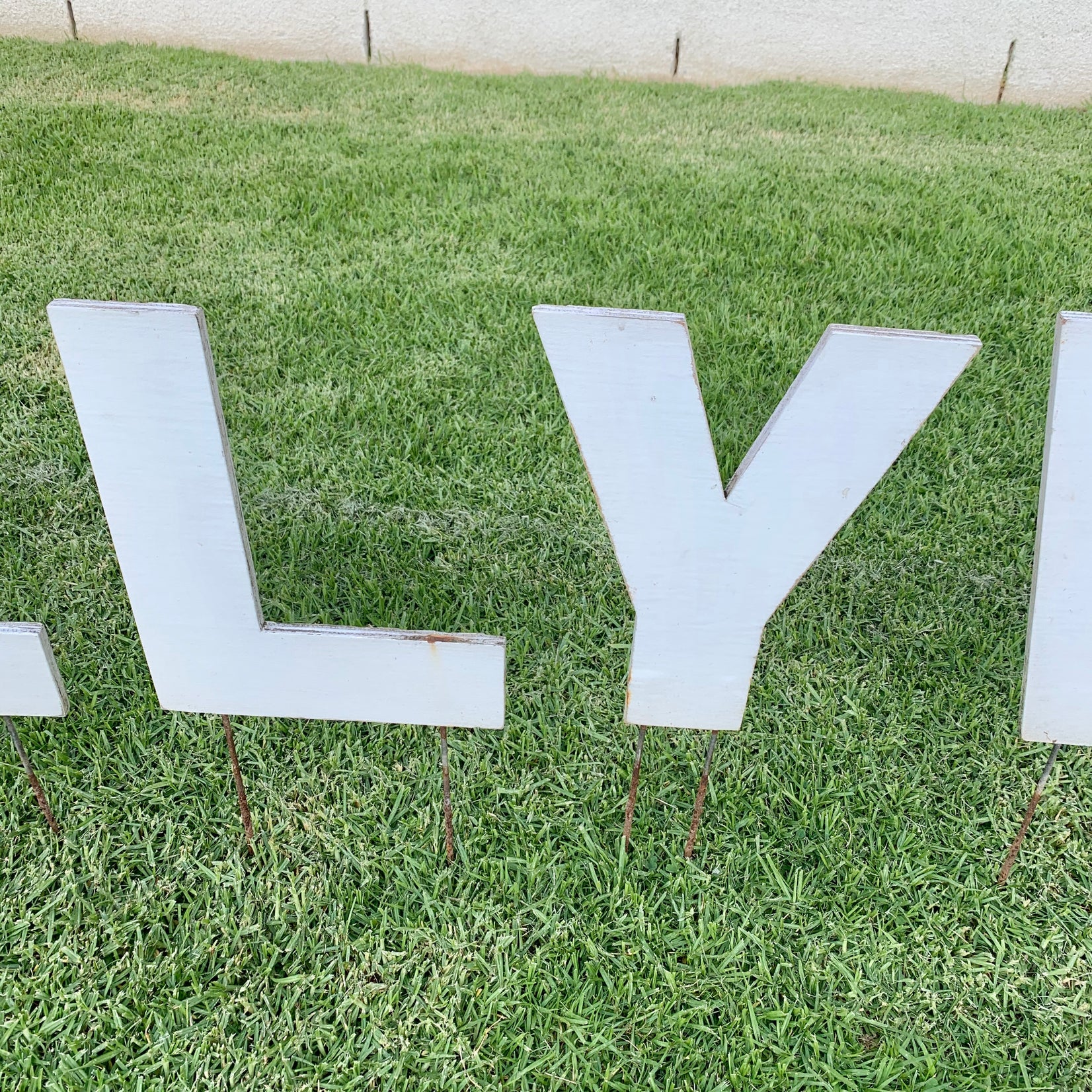 Hollywood Sign Artist Model