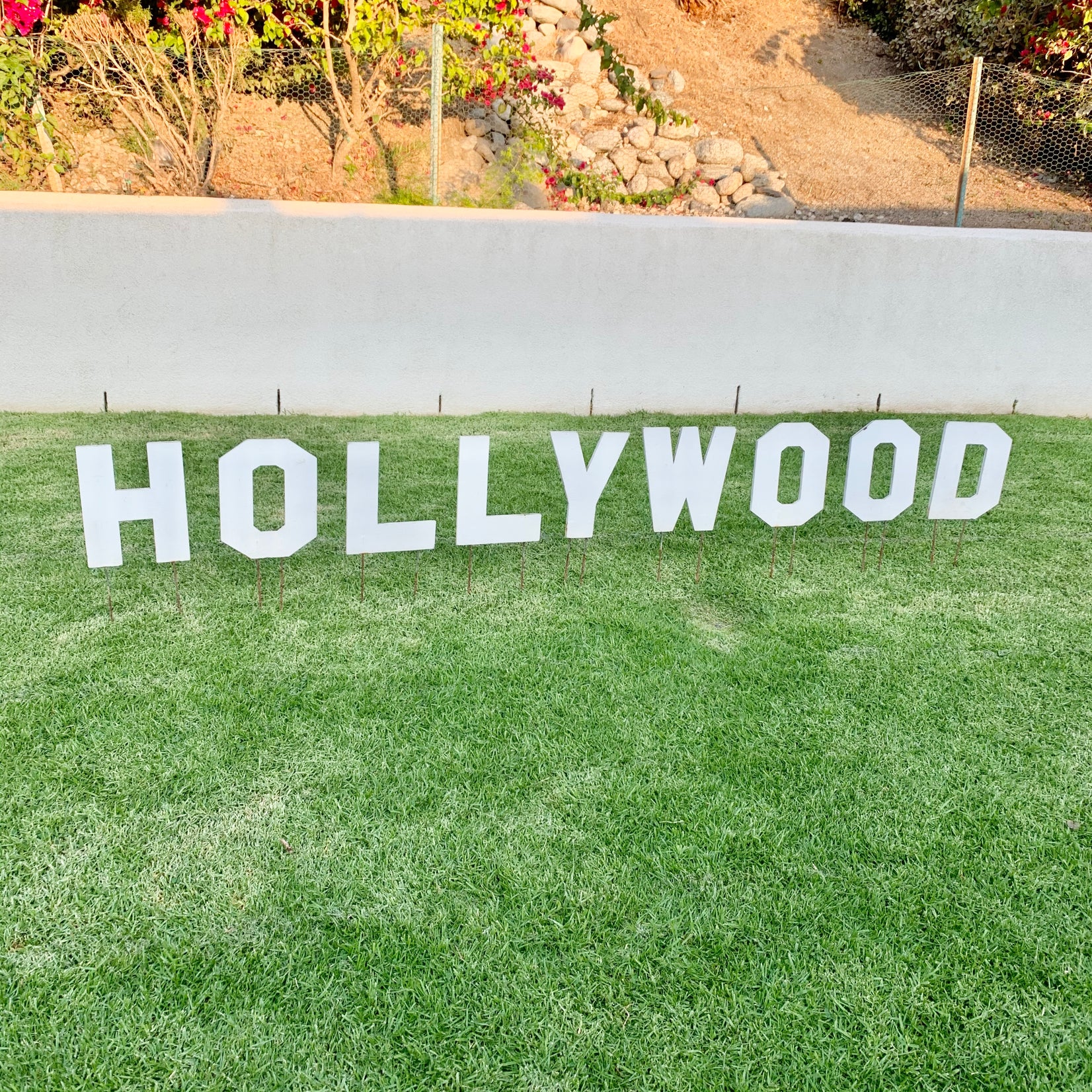 Hollywood Sign Artist Model