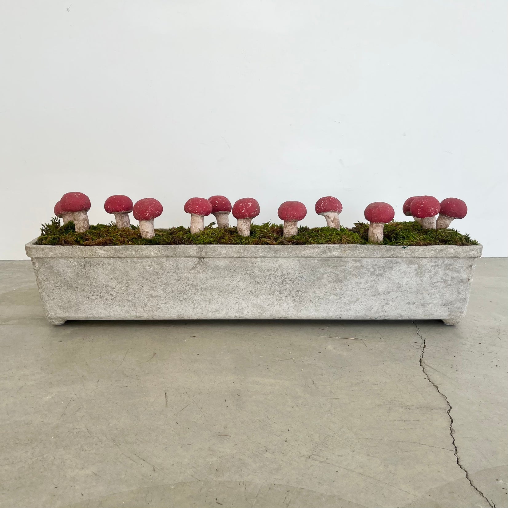 13 Sculptural Mushrooms in Trough Planter