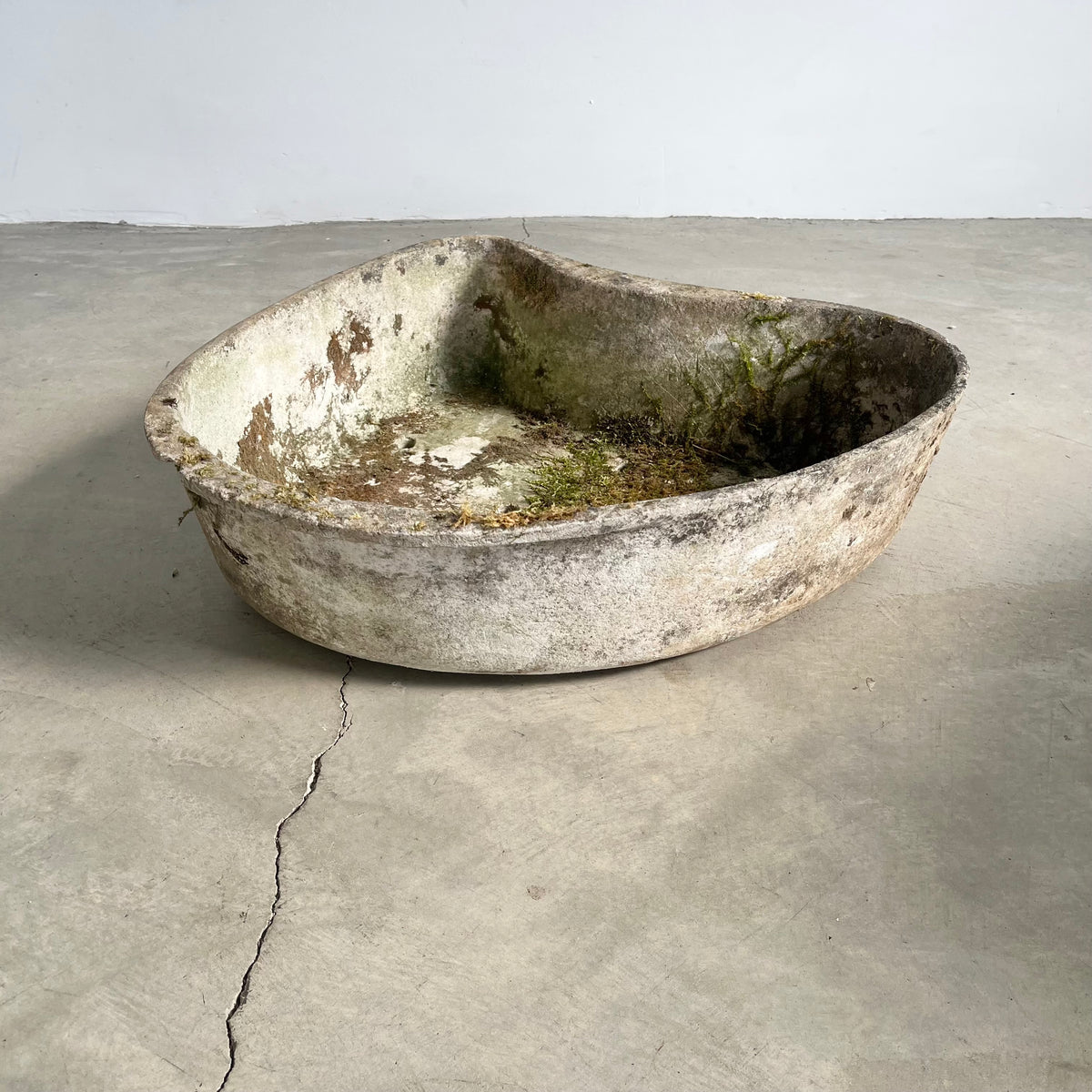 Biomorphic Planter