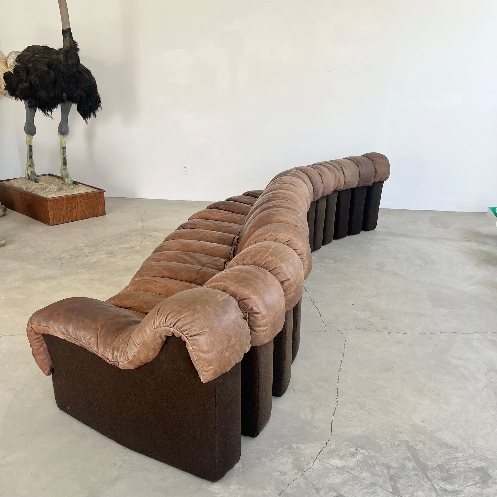 De Sede DS-600 Non-Stop Sofa with 16 Elements