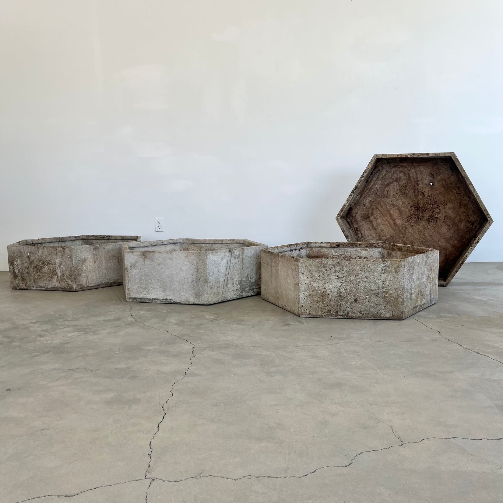 Massive Hexagonal Planters by Willy Guhl, 1960s Switzerland