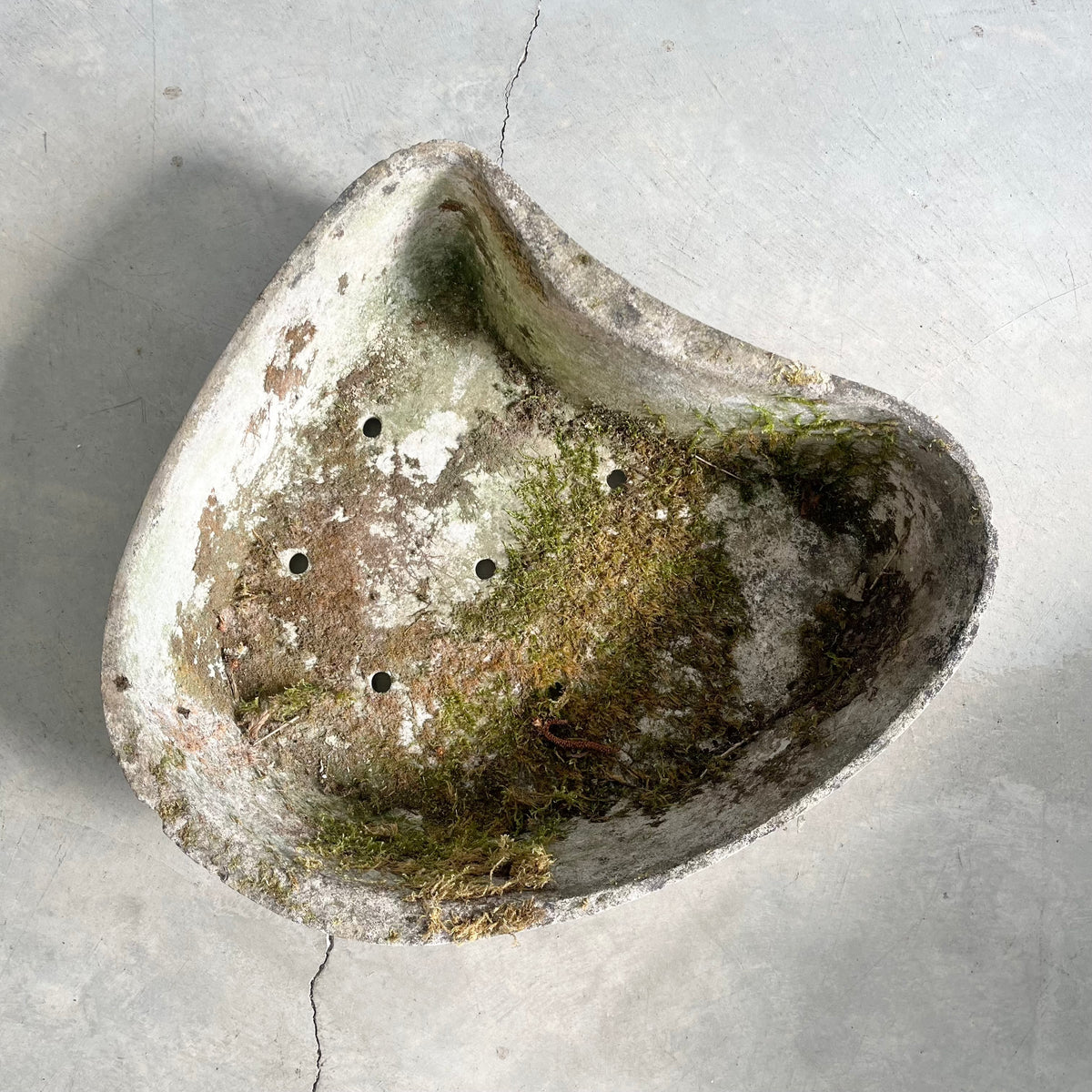 Biomorphic Planter