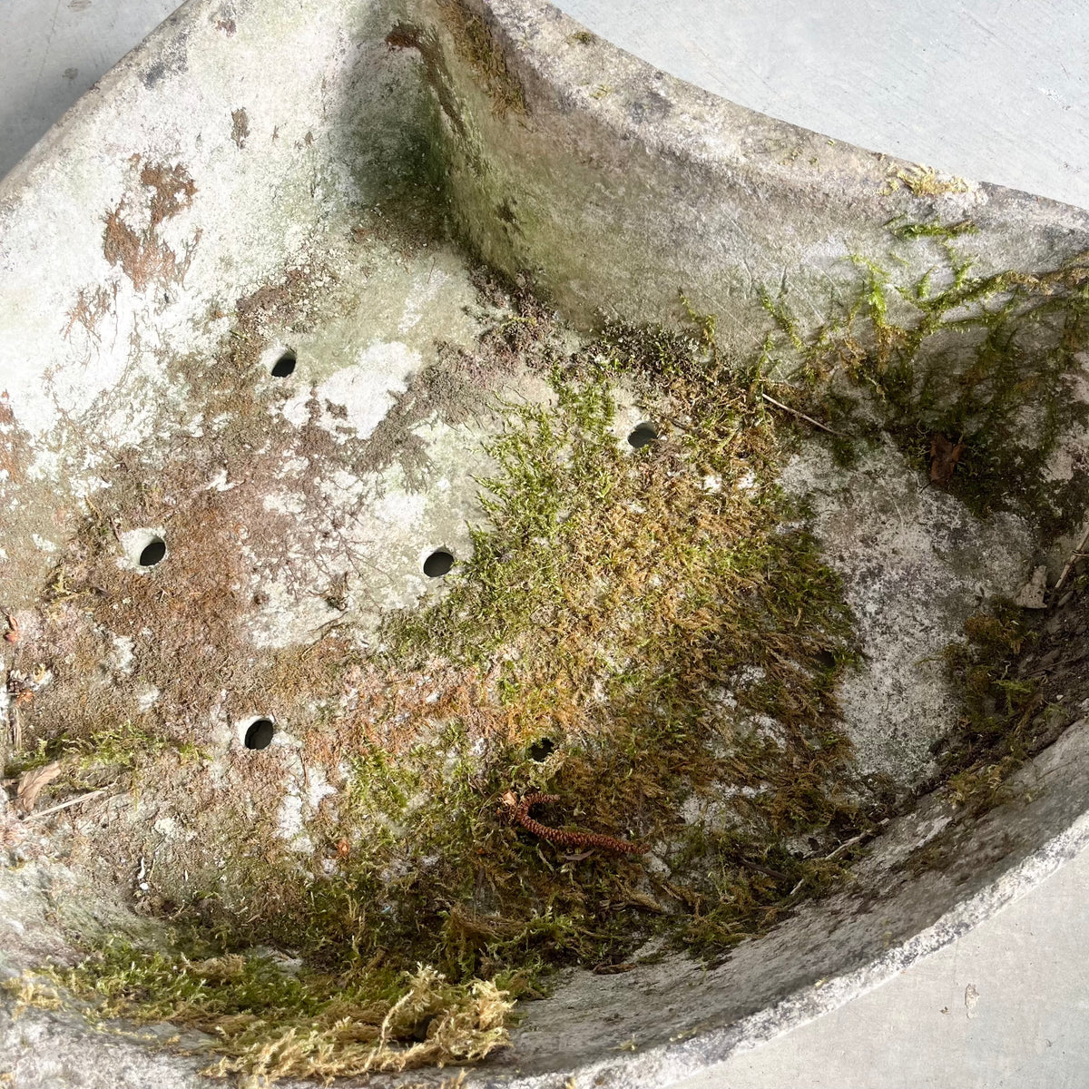 Biomorphic Planter