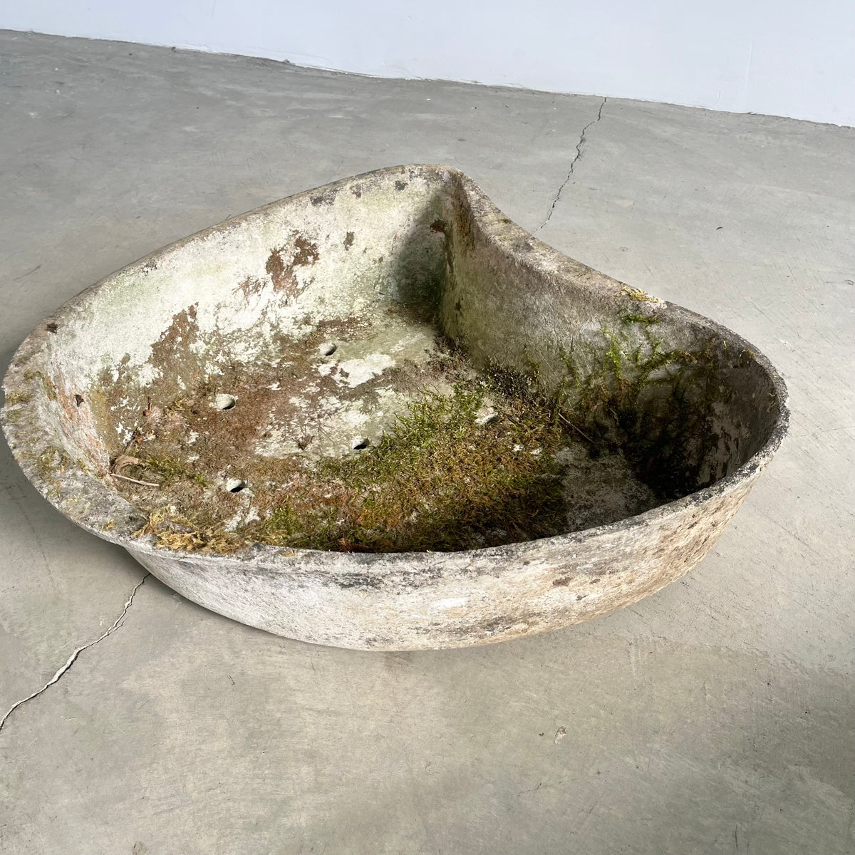 Biomorphic Planter