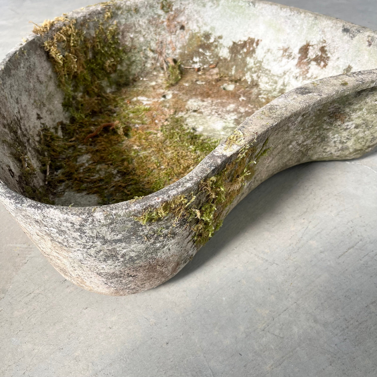 Biomorphic Planter