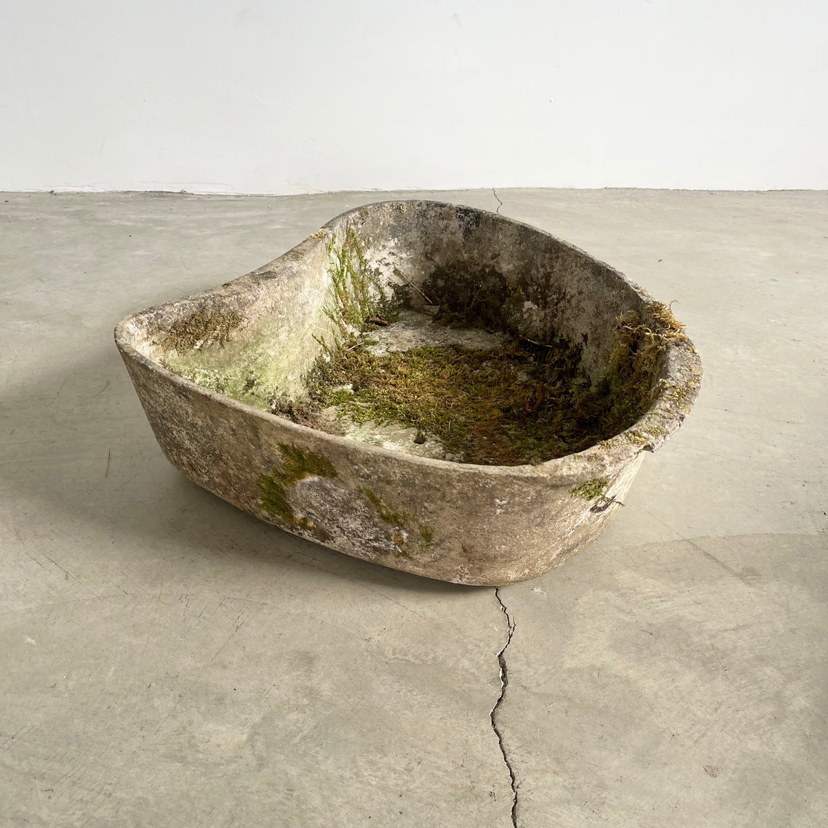 Biomorphic Planter