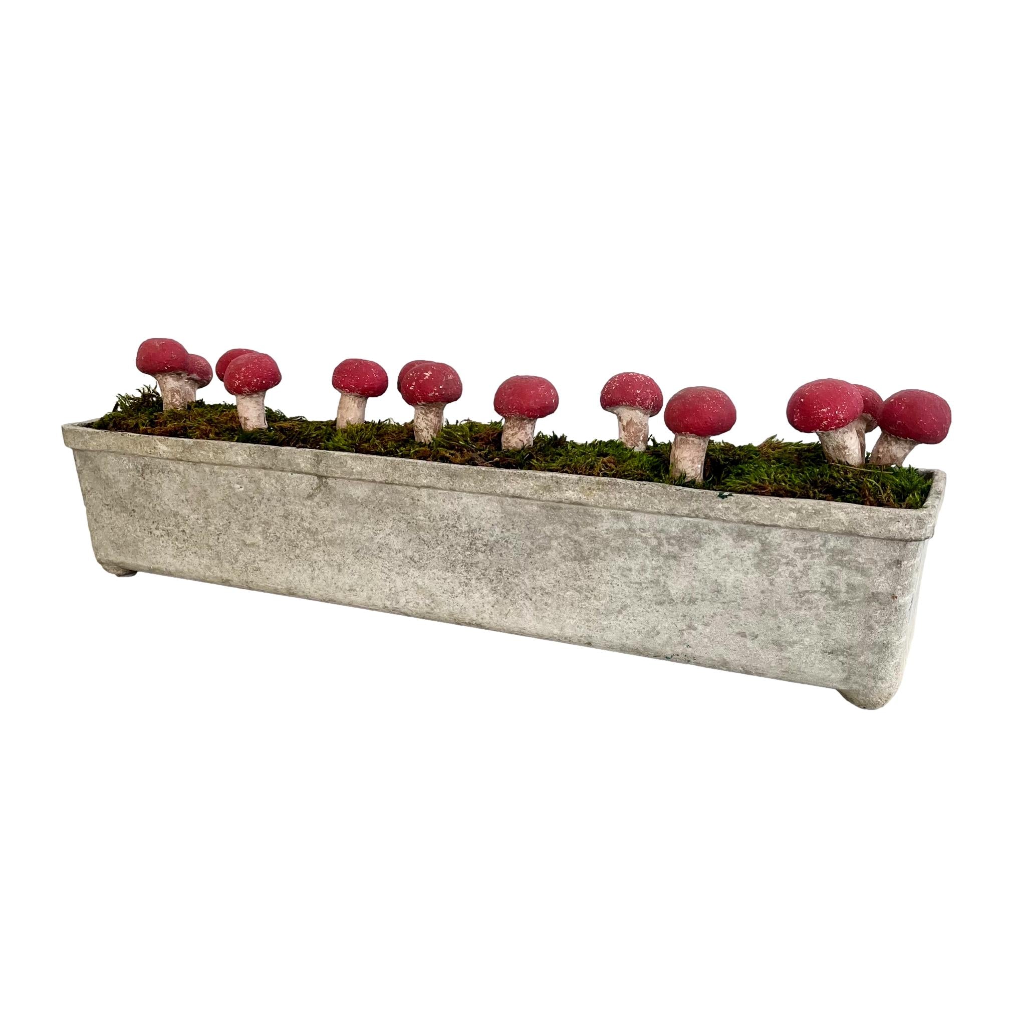 13 Sculptural Mushrooms in Trough Planter