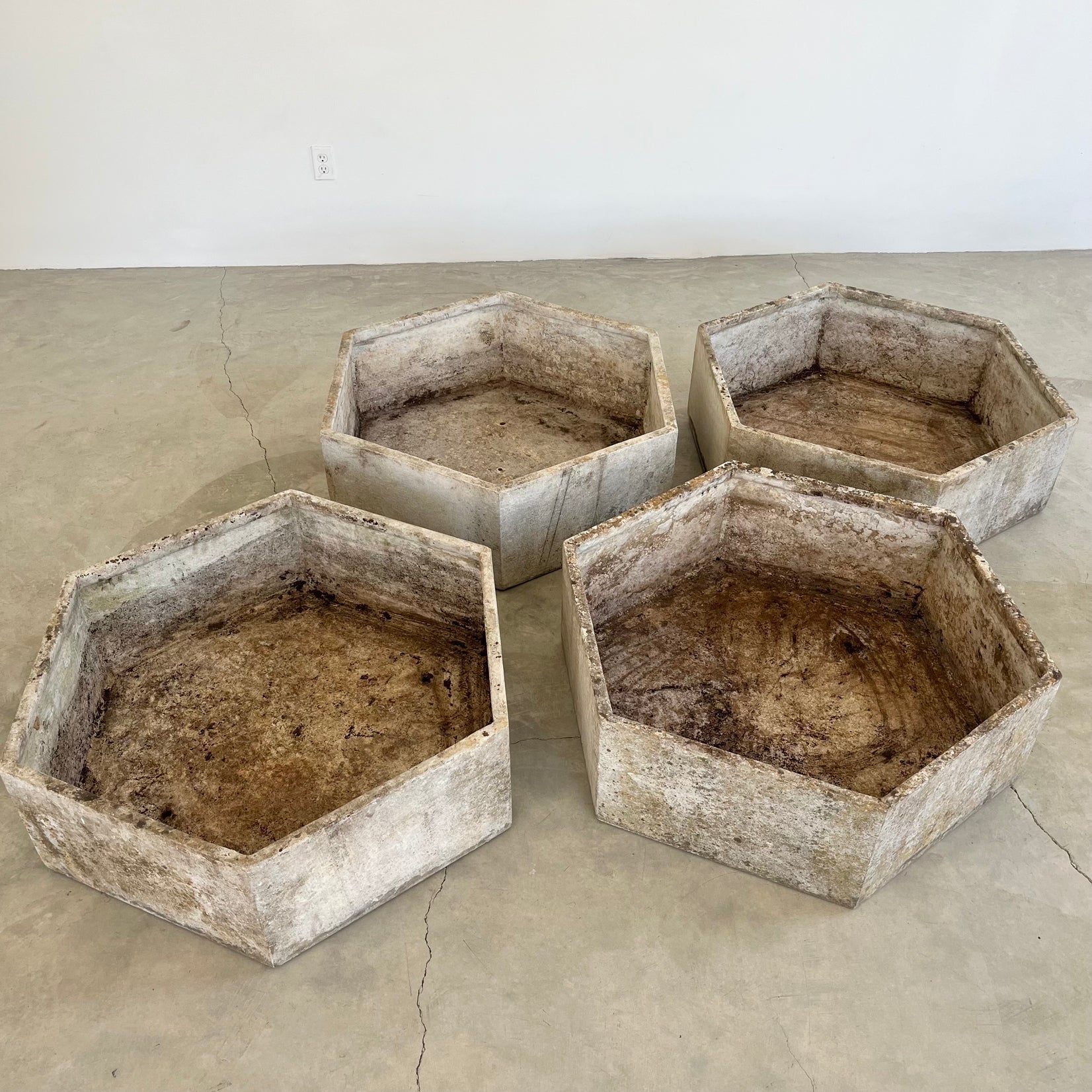 Massive Hexagonal Planters by Willy Guhl, 1960s Switzerland