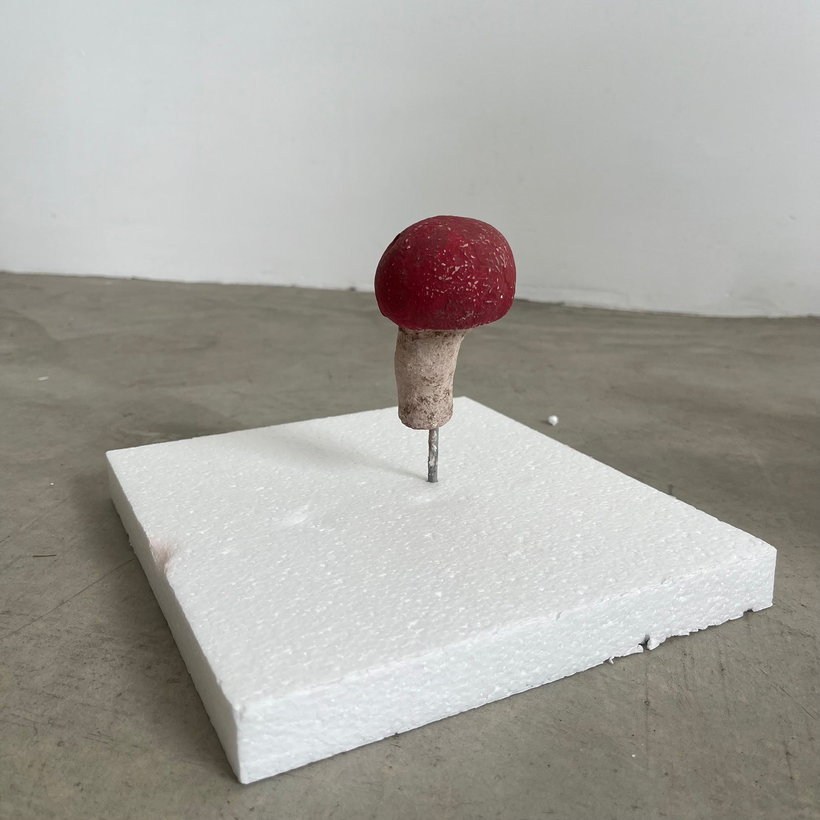 Set of 13 Concrete Mushrooms
