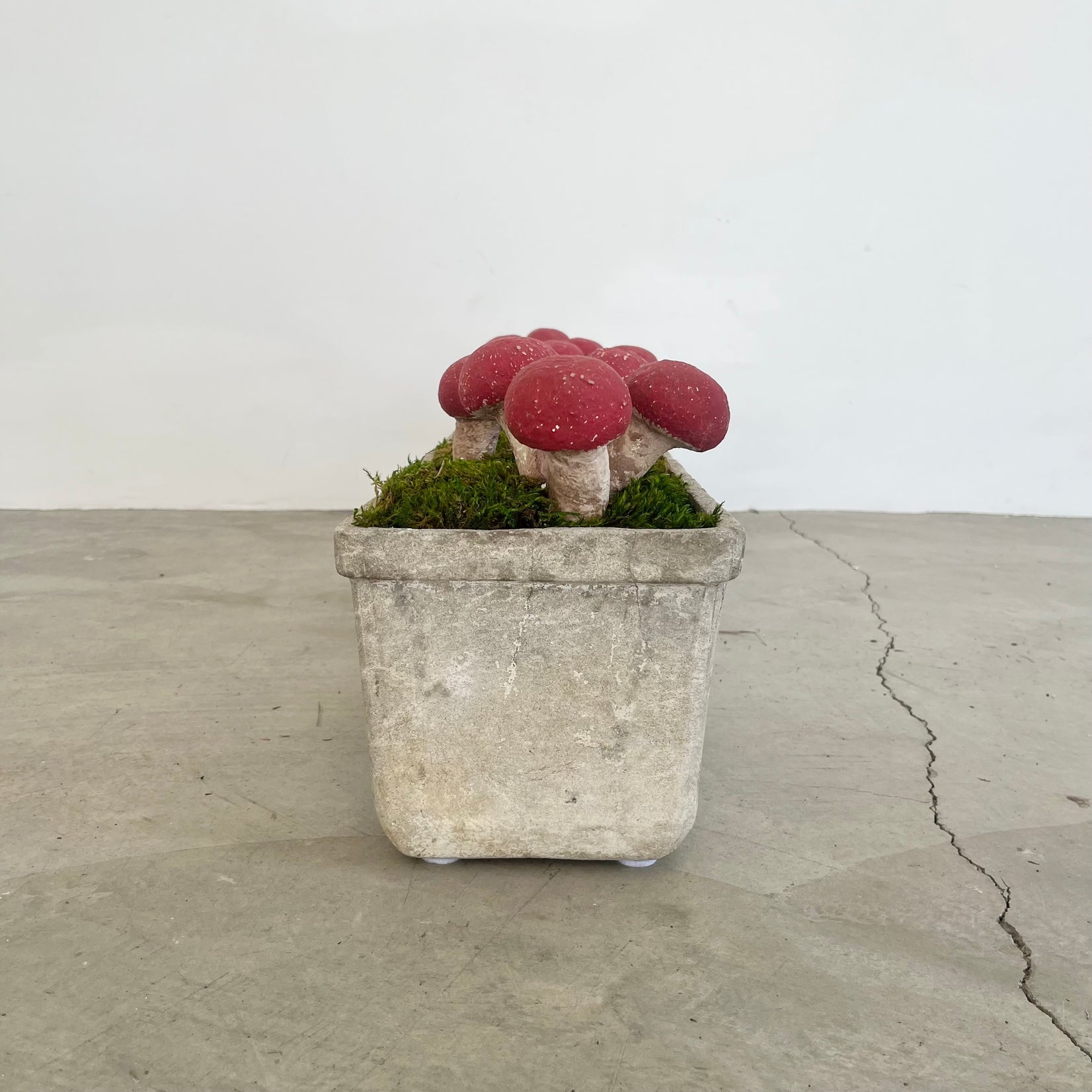 13 Sculptural Mushrooms in Trough Planter