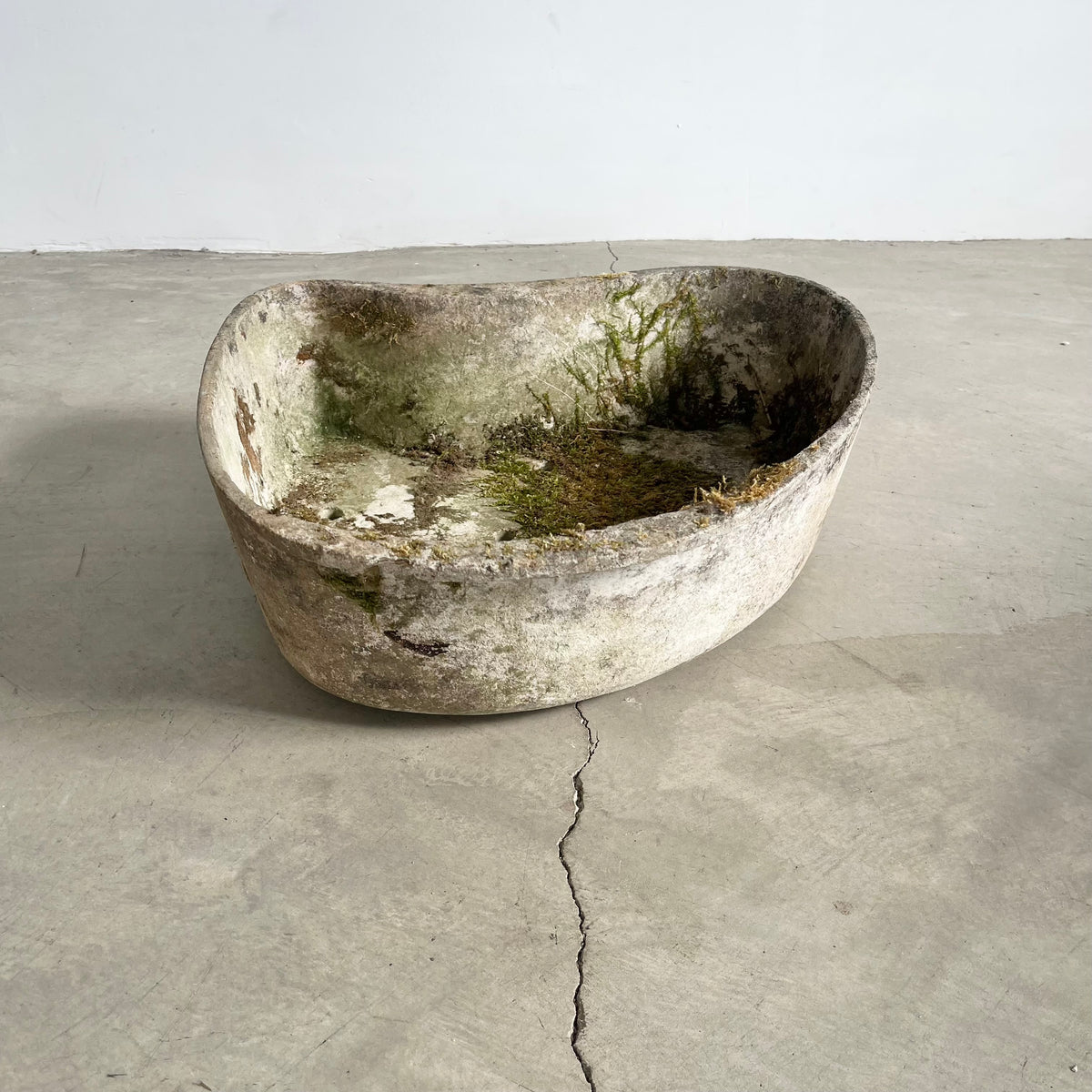 Biomorphic Planter