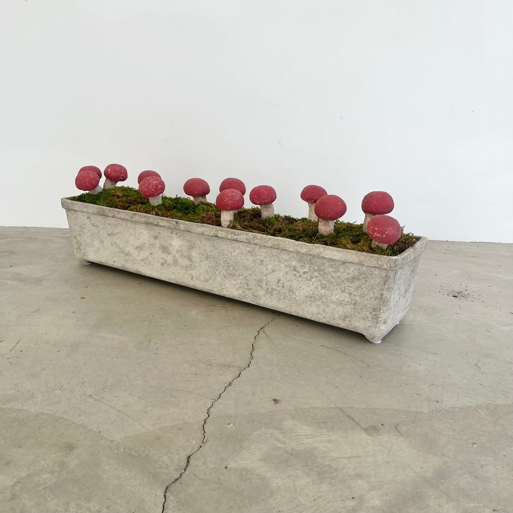 13 Sculptural Mushrooms in Trough Planter