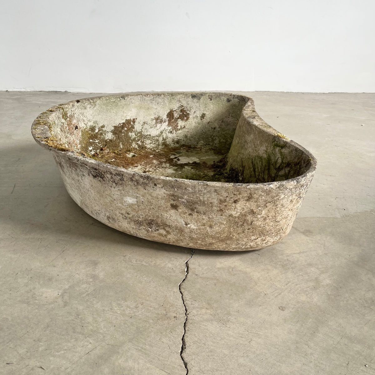 Biomorphic Planter