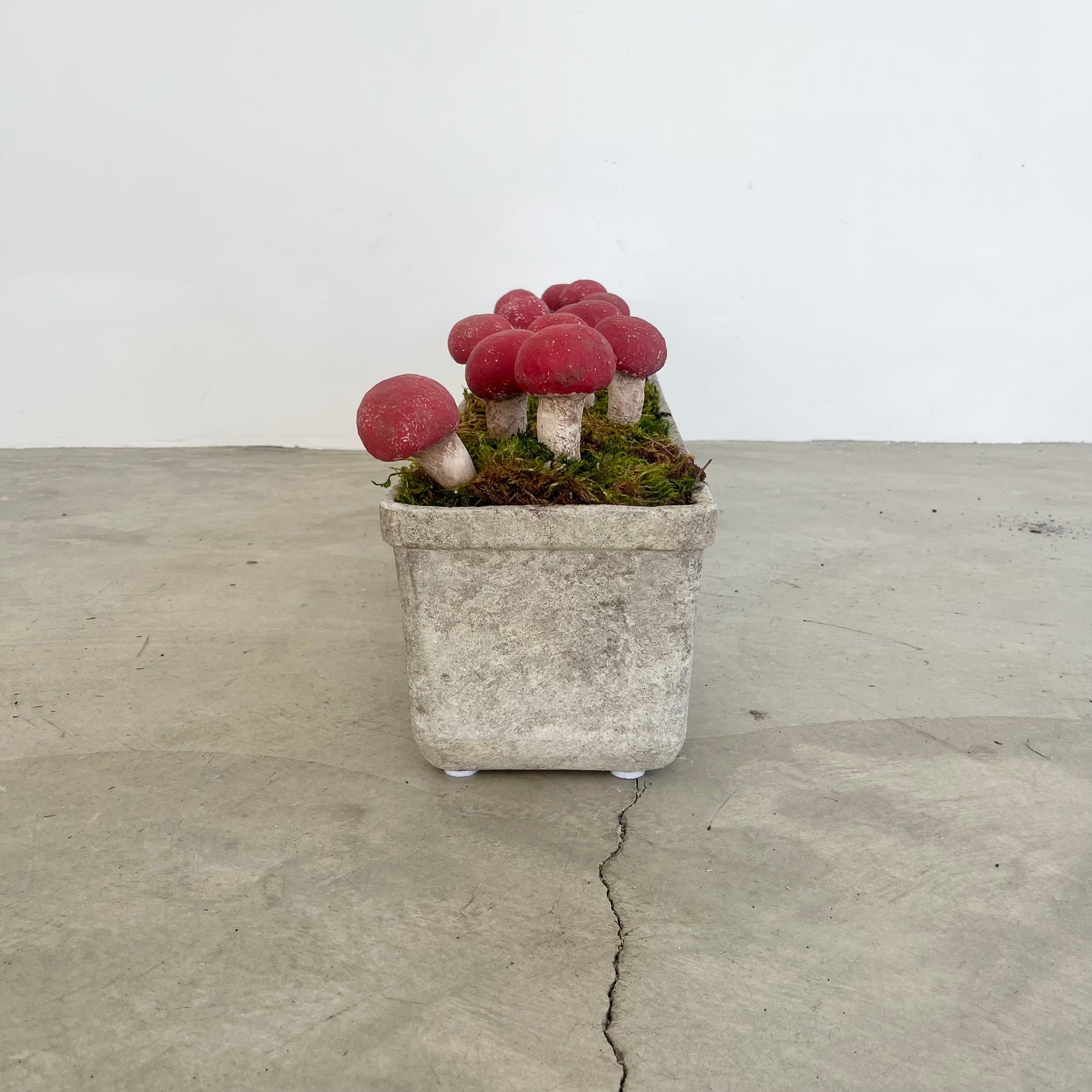 13 Sculptural Mushrooms in Trough Planter