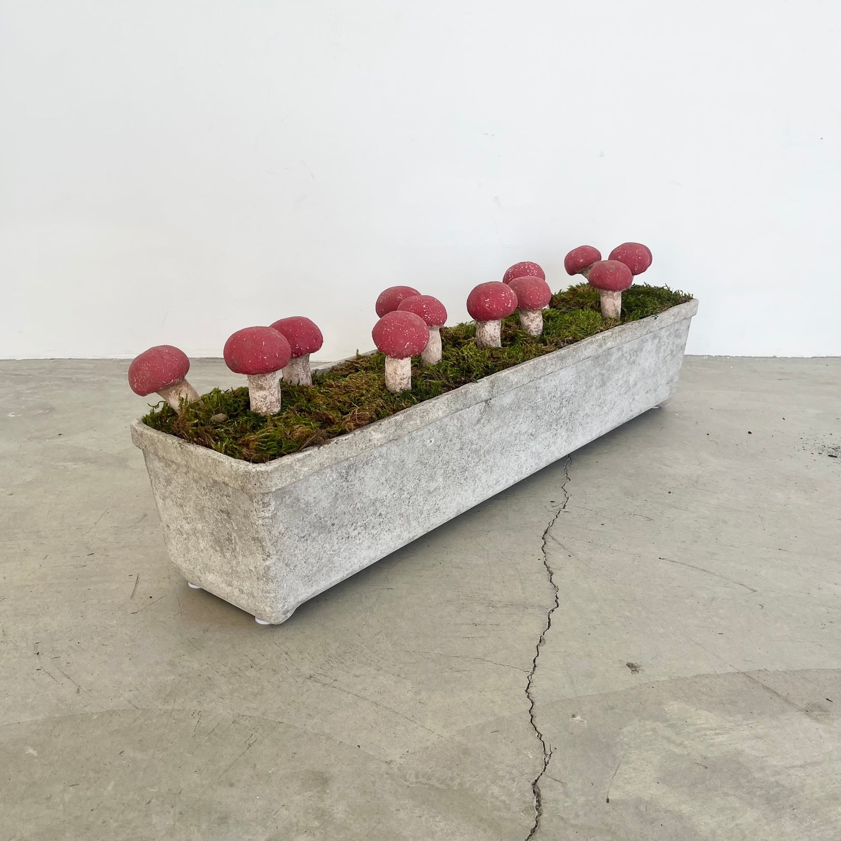 13 Sculptural Mushrooms in Trough Planter