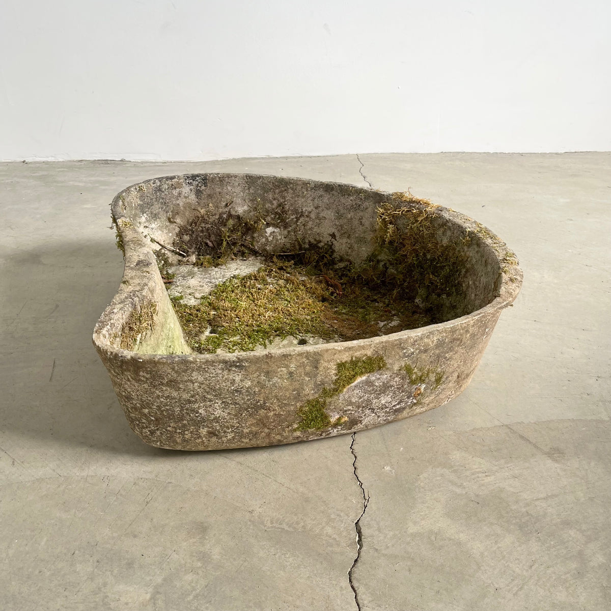 Biomorphic Planter