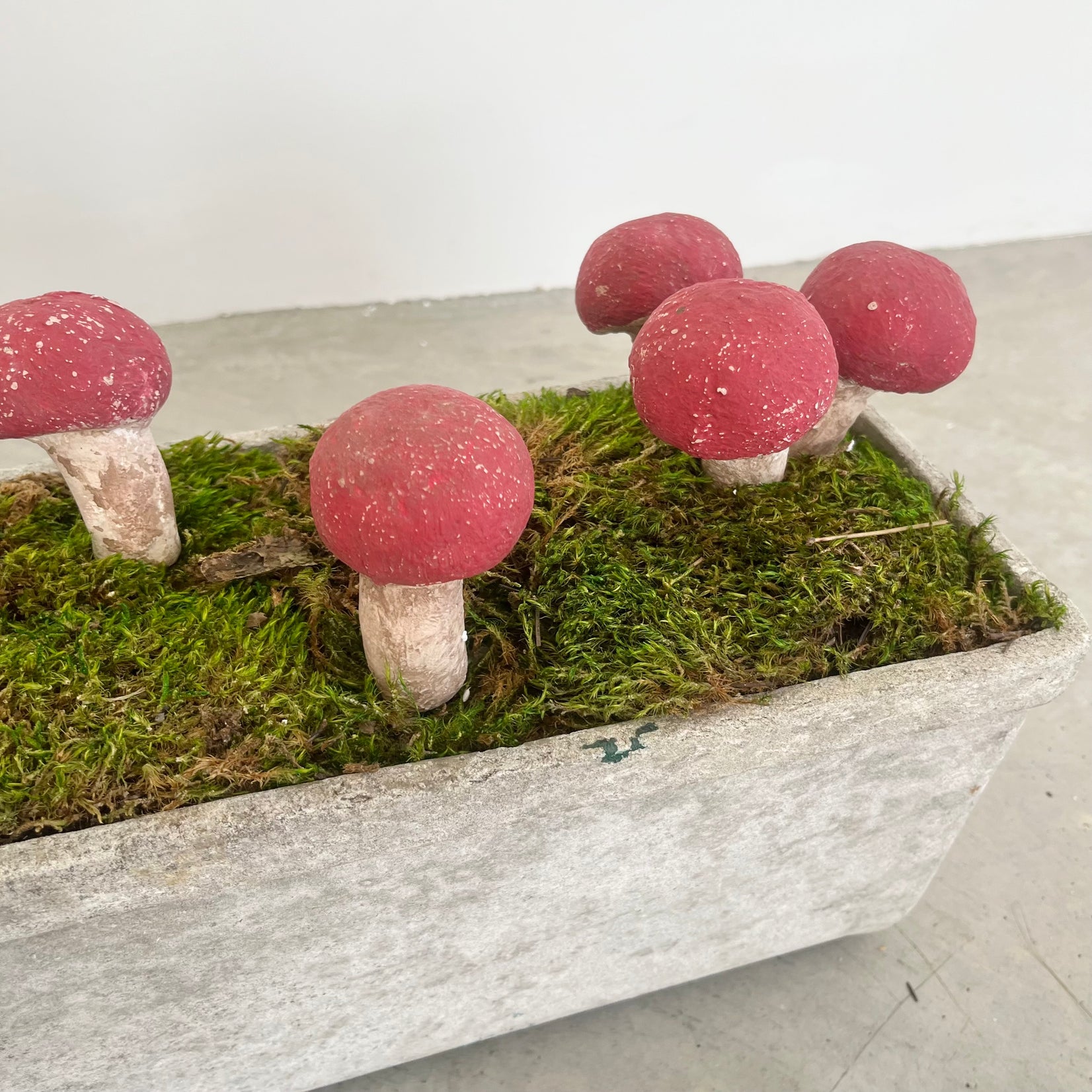 13 Sculptural Mushrooms in Trough Planter