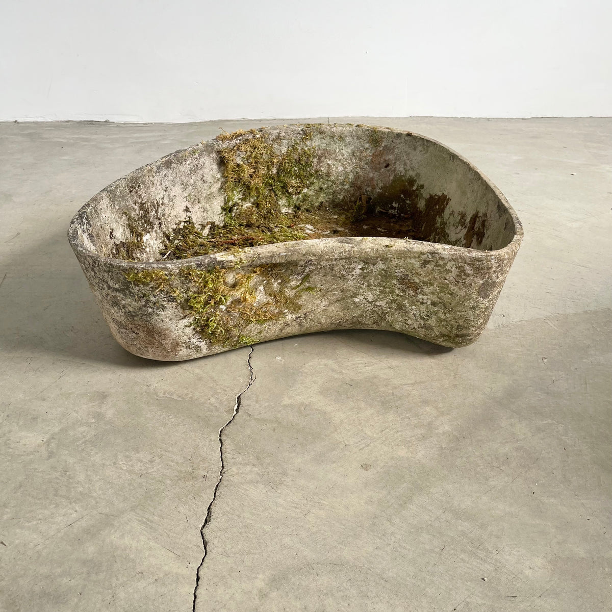 Biomorphic Planter