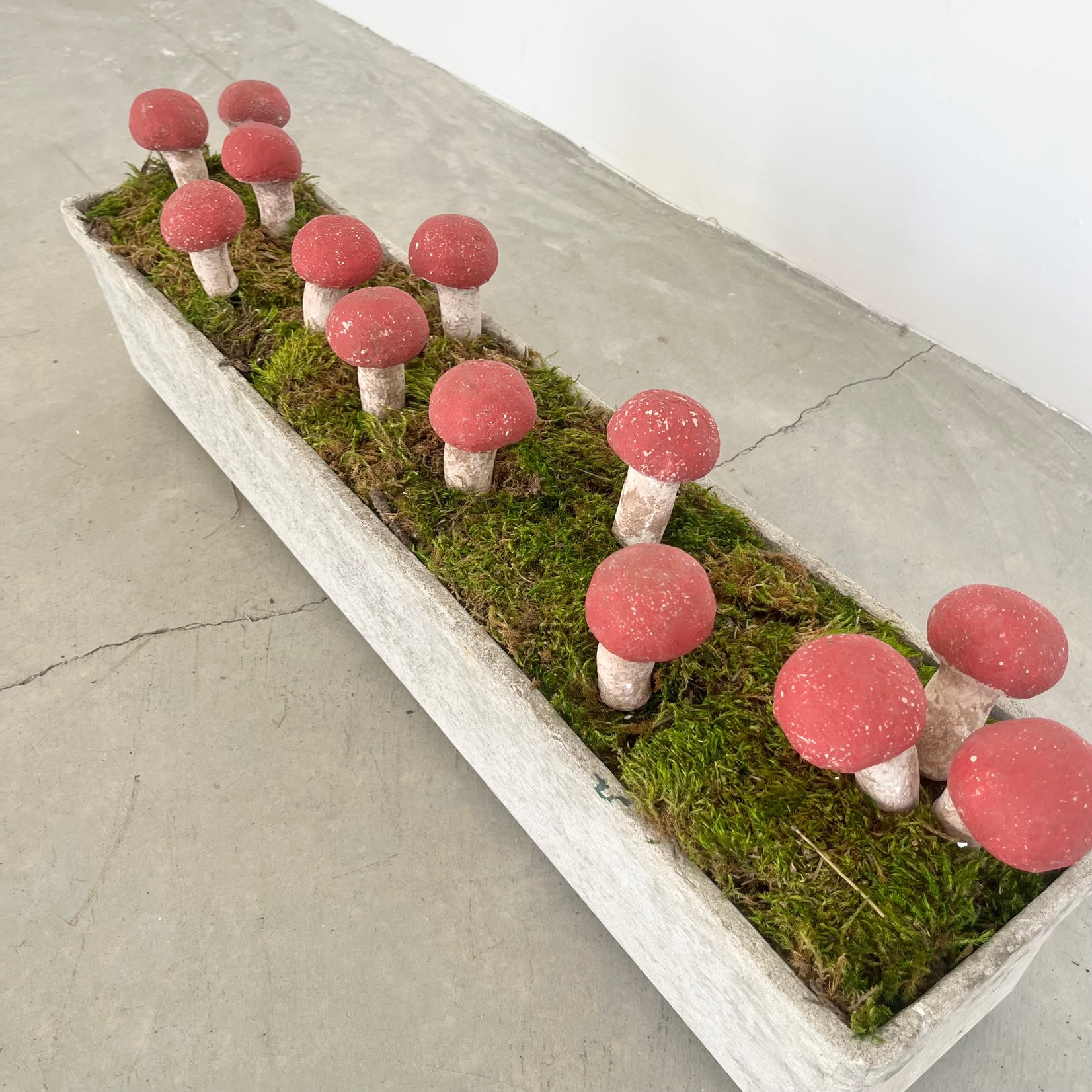 13 Sculptural Mushrooms in Trough Planter