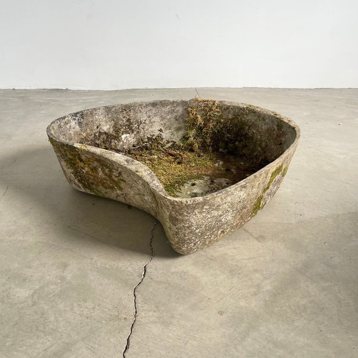 Biomorphic Planter