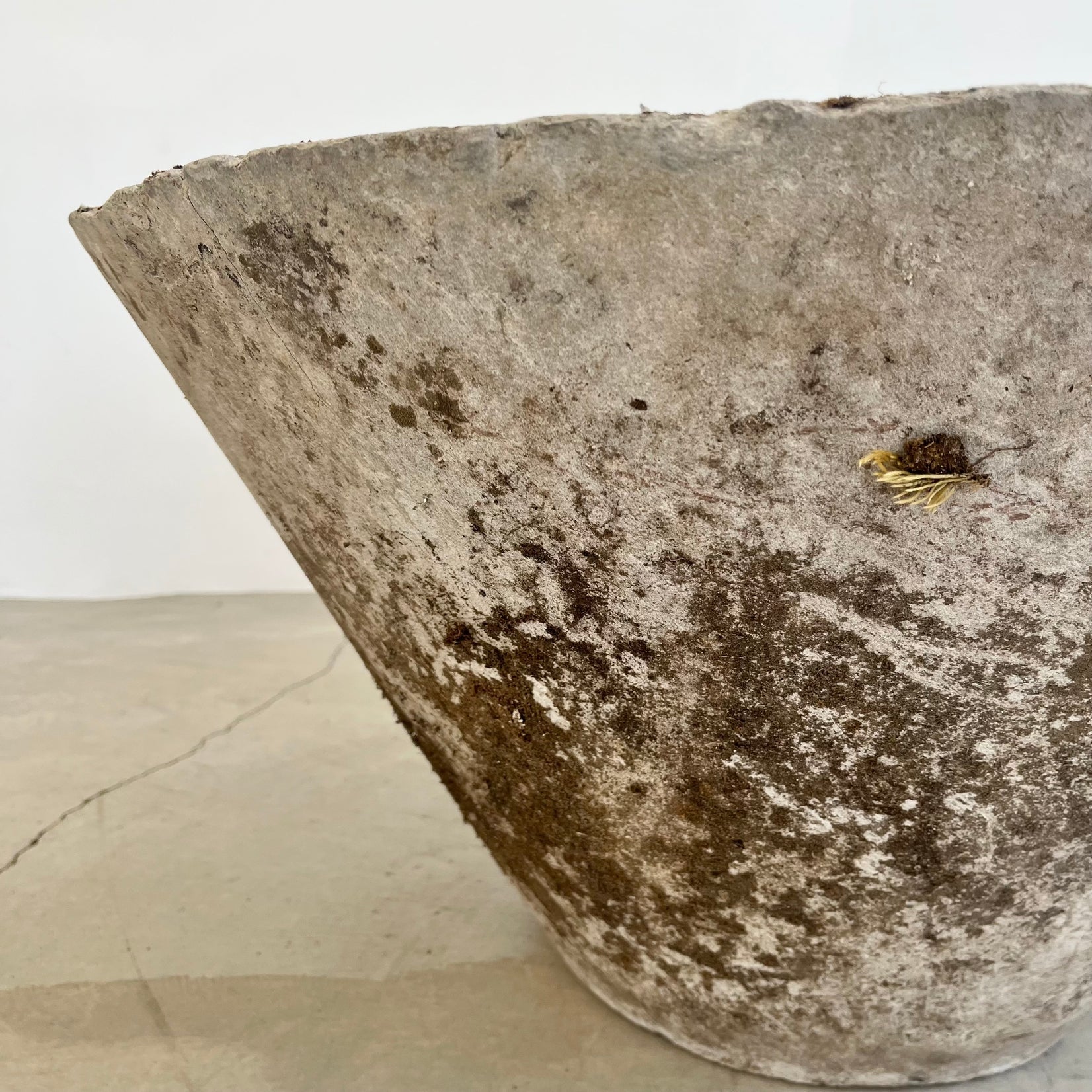 Willy Guhl Concrete Cone Flower Pot, 1960s Switzerland