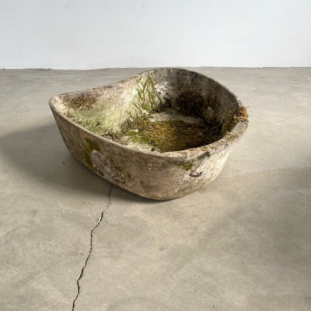 Biomorphic Planter