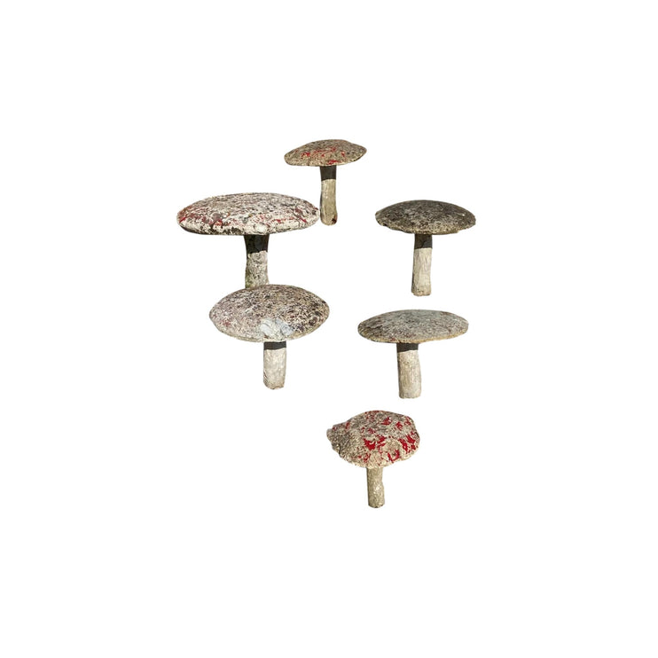 Set of 6 Concrete Mushrooms, 1950s France