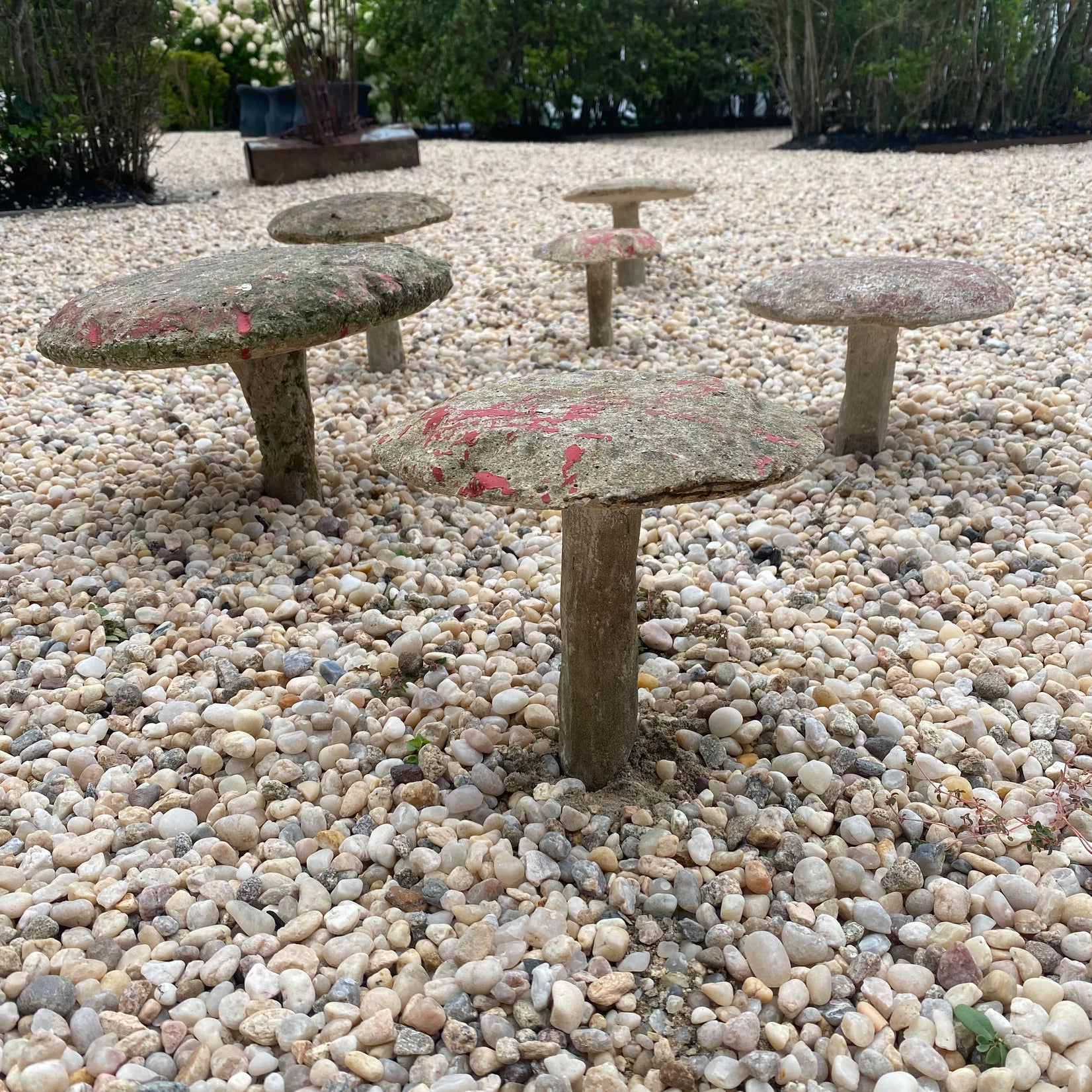 Set of 6 Concrete Mushrooms, 1950s France