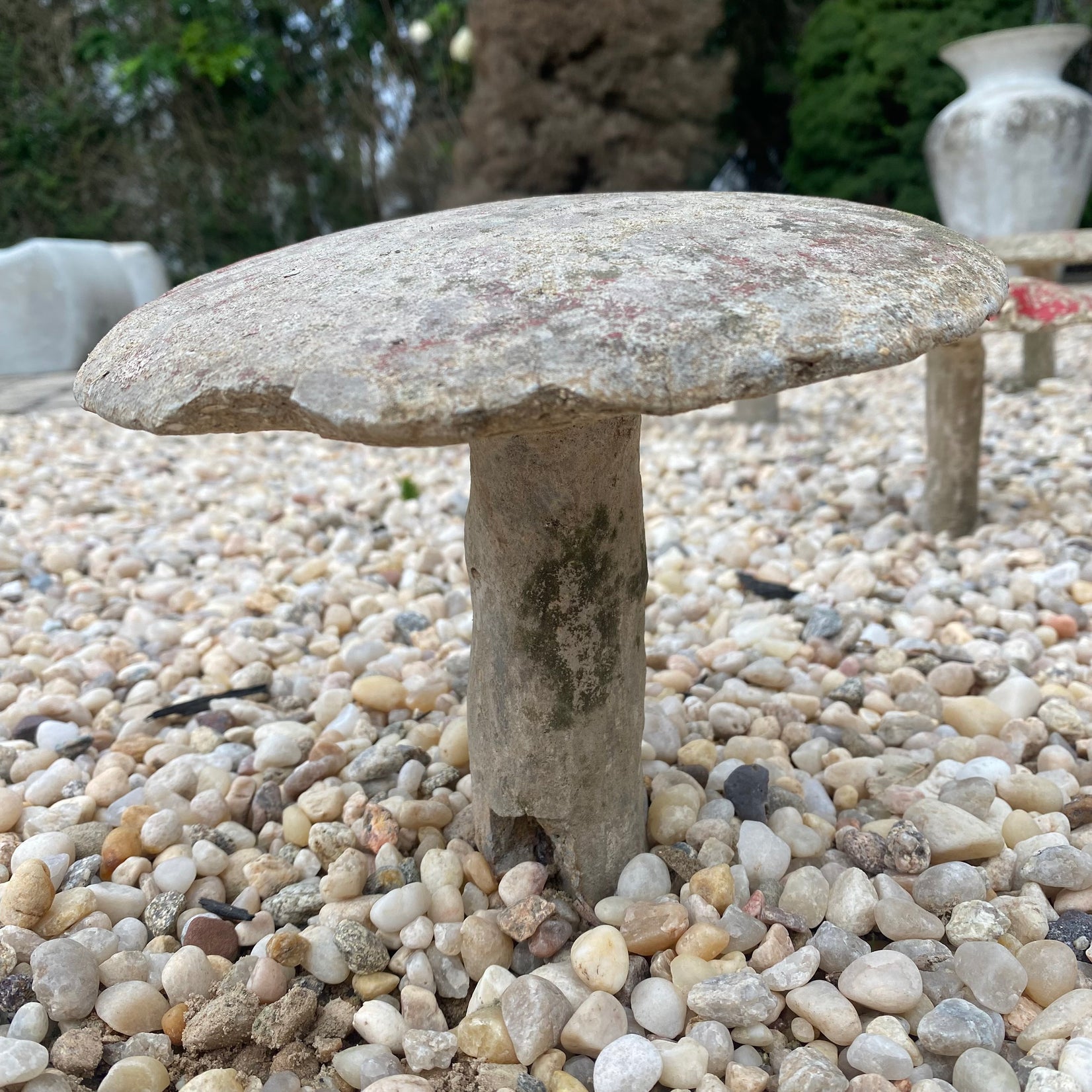 Set of 6 Concrete Mushrooms, 1950s France
