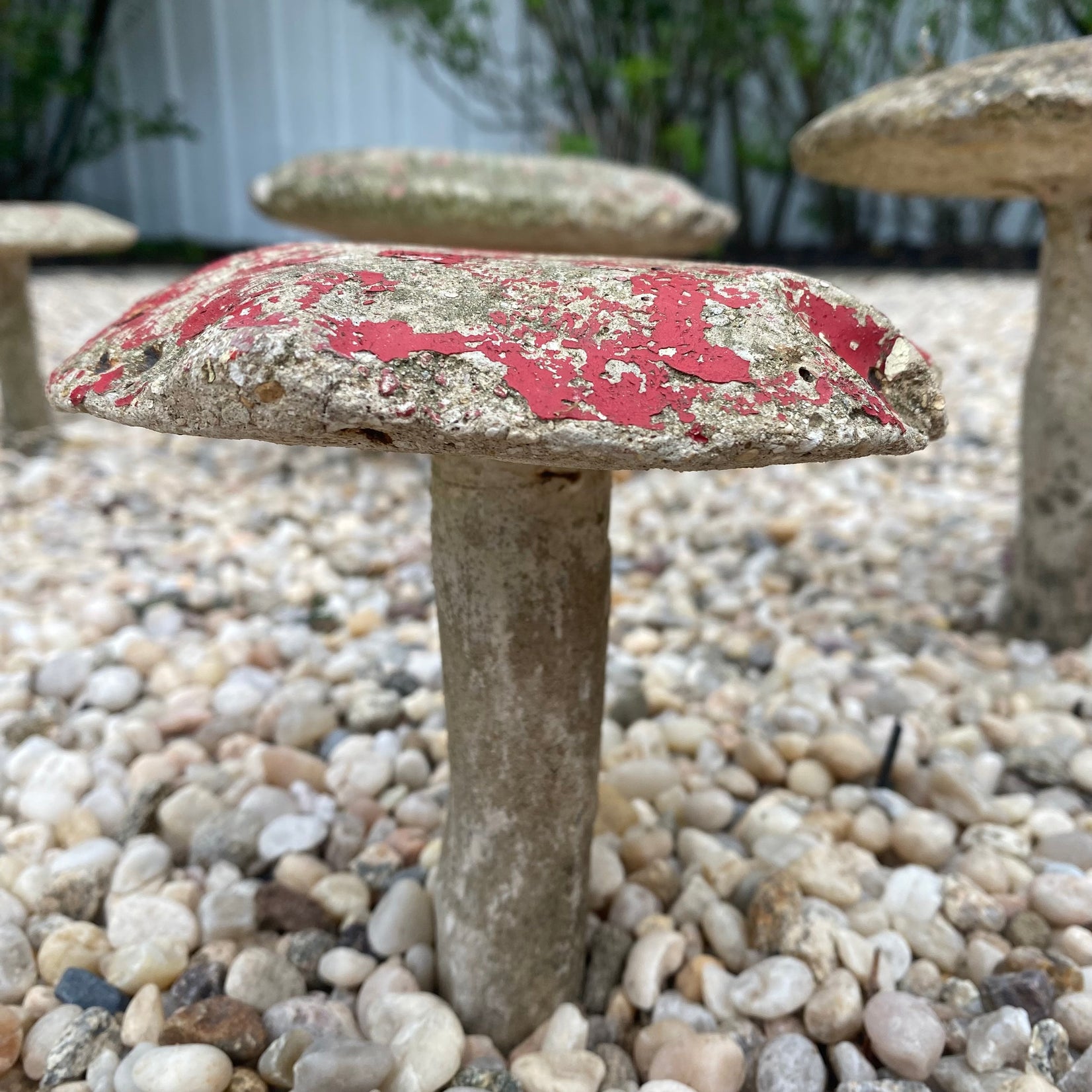 Set of 6 Concrete Mushrooms, 1950s France