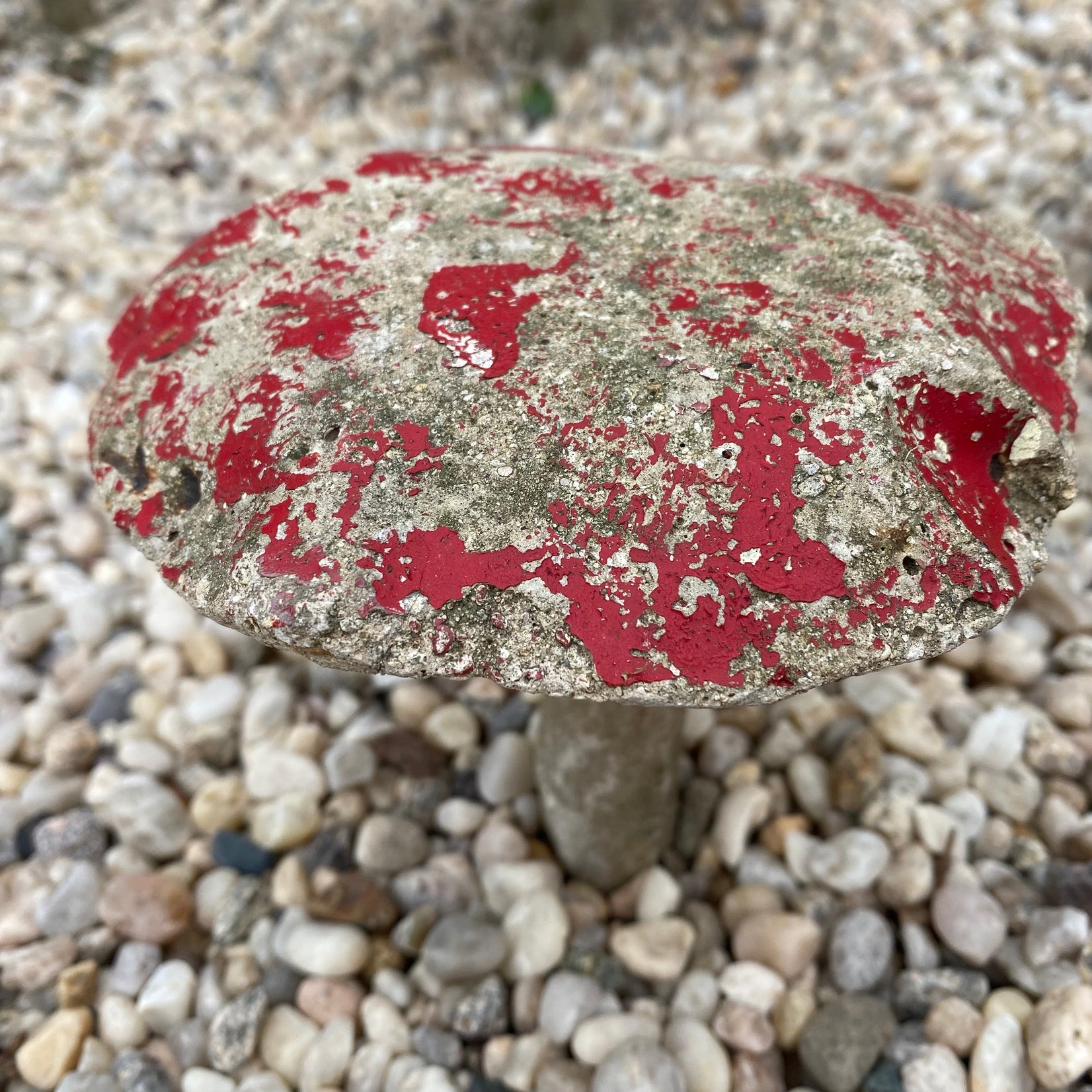 Set of 6 Concrete Mushrooms, 1950s France