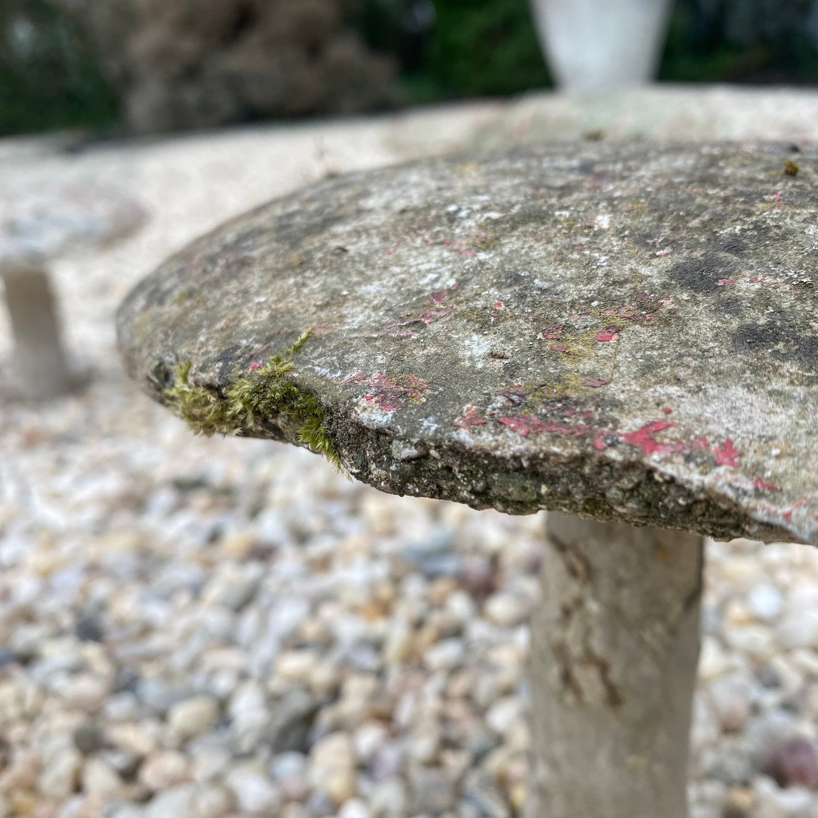 Set of 6 Concrete Mushrooms, 1950s France