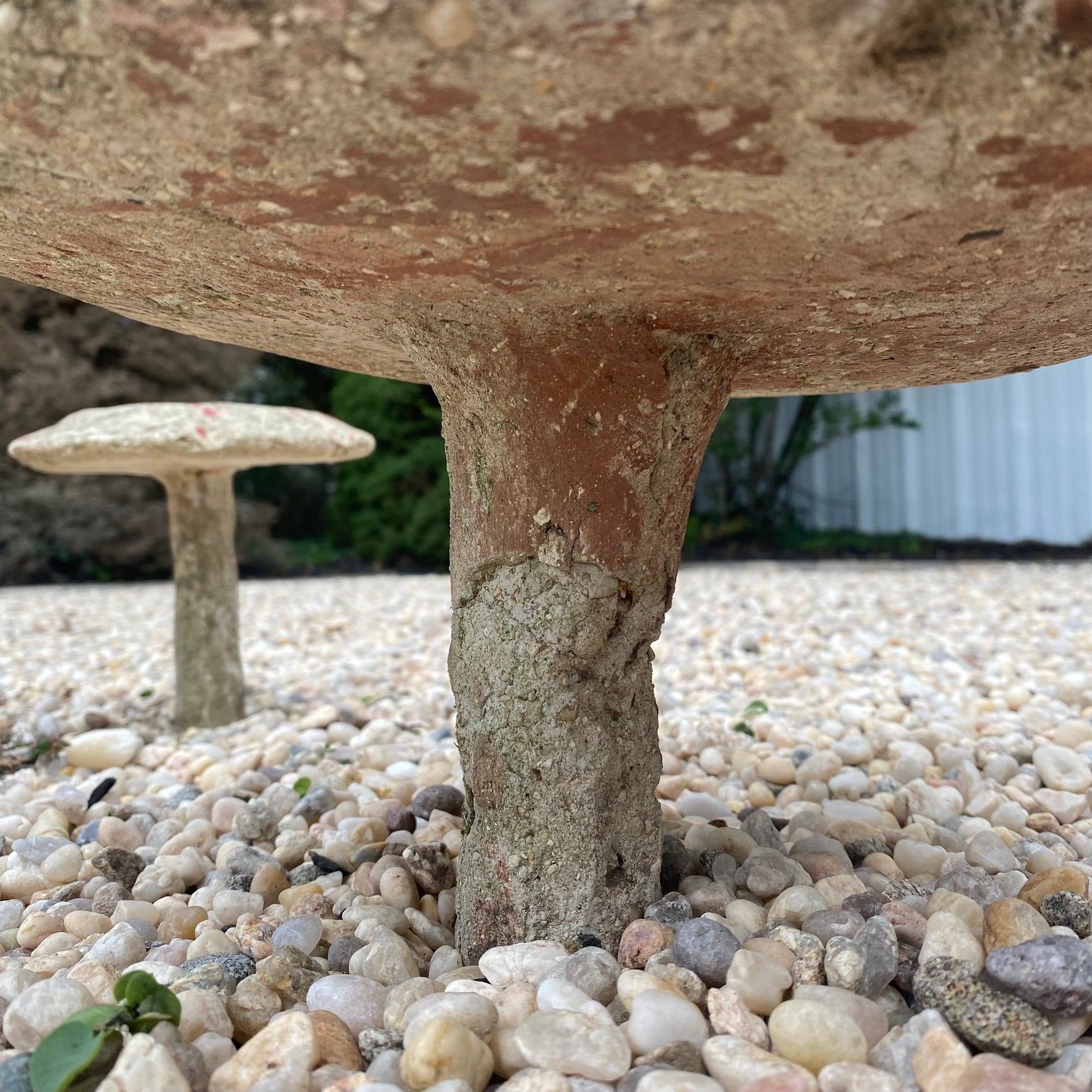 Set of 6 Concrete Mushrooms, 1950s France