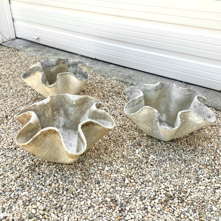 Clam Shell Planters