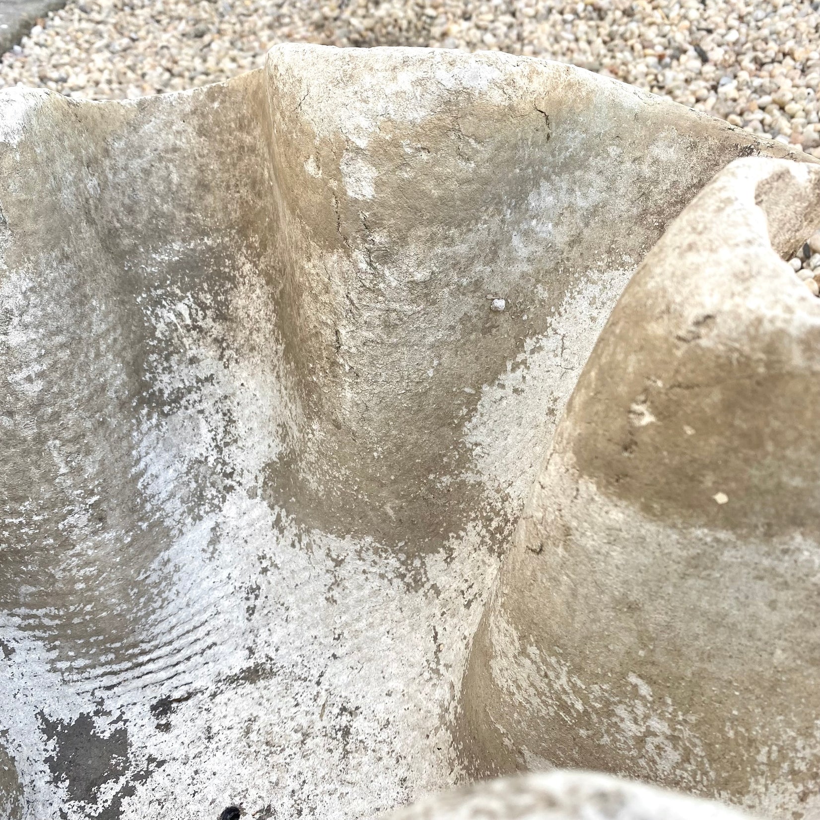 Clam Shell Planters