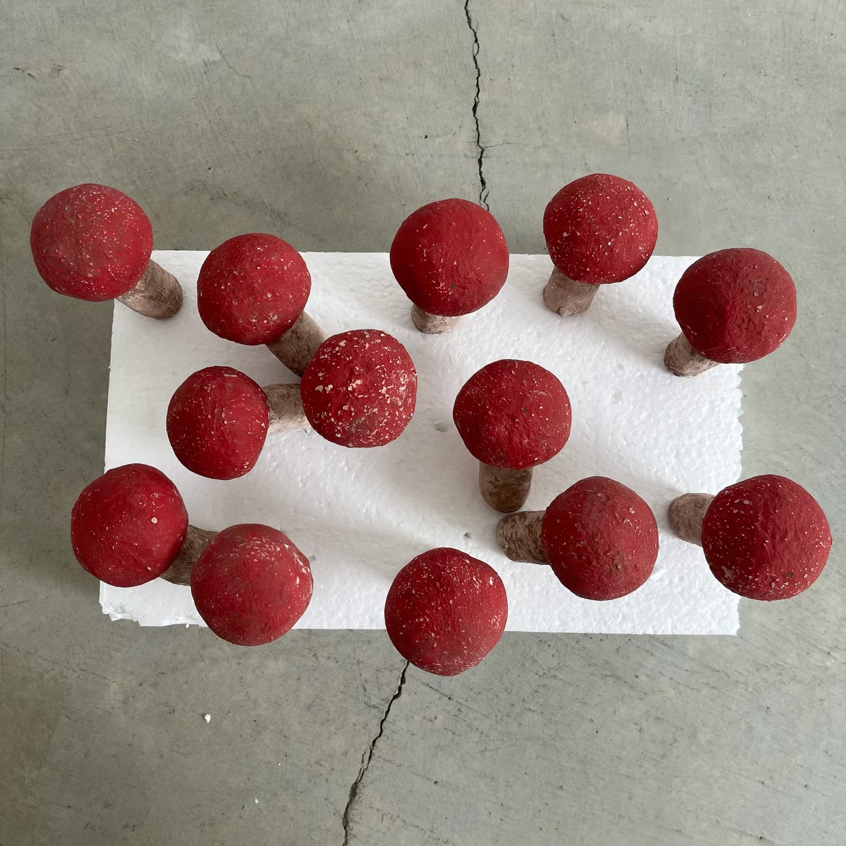 Set of 13 Concrete Mushrooms