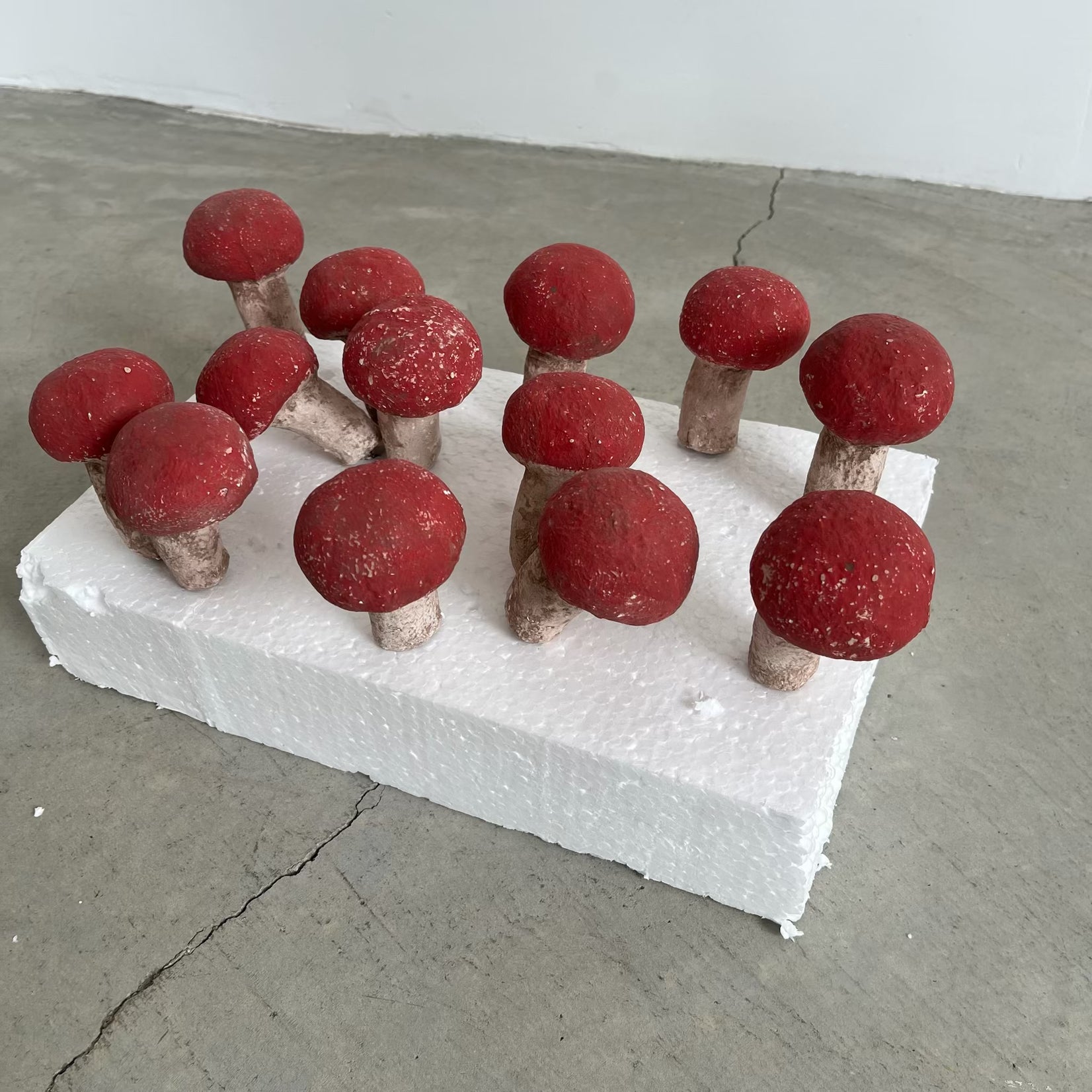 Set of 13 Concrete Mushrooms