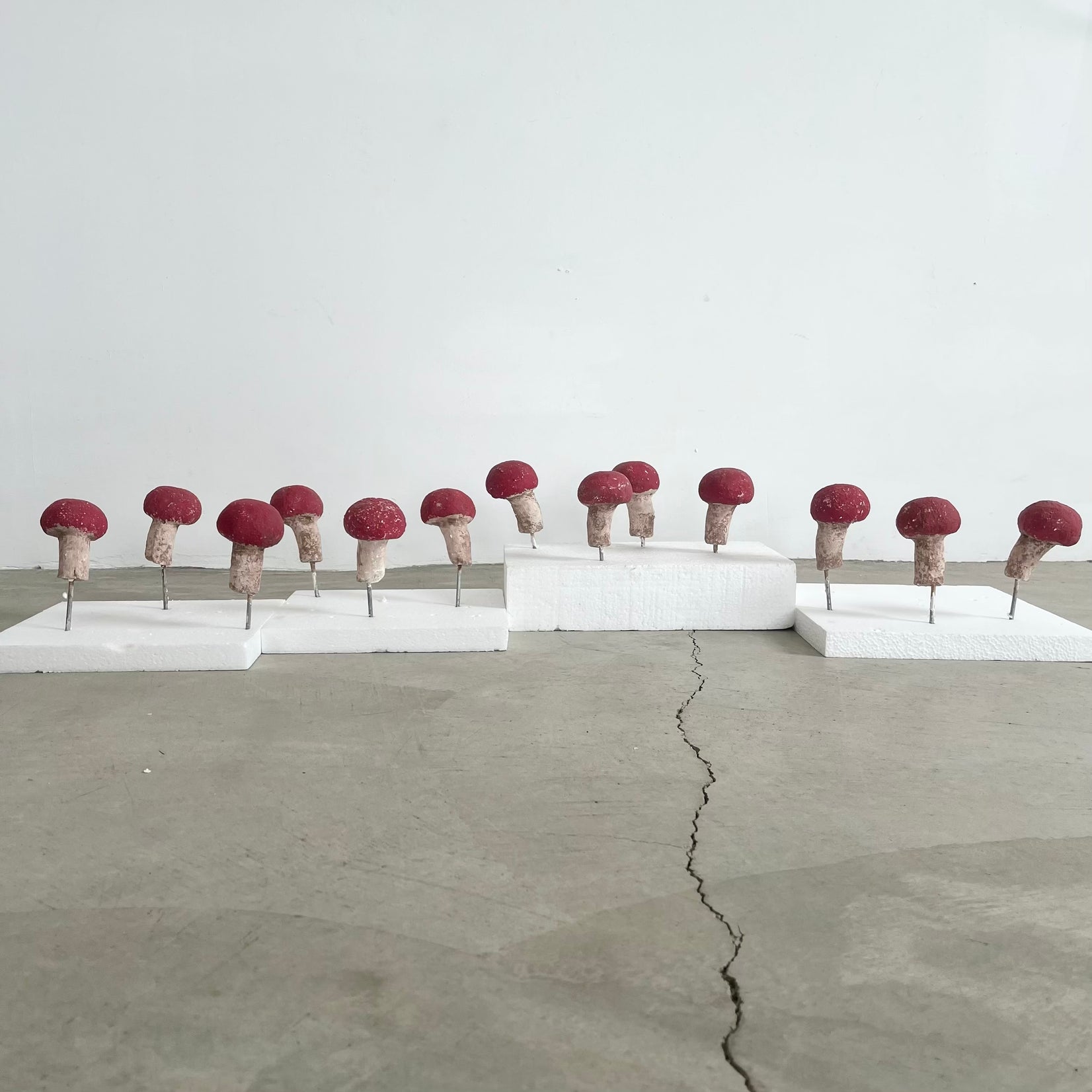 Set of 13 Concrete Mushrooms