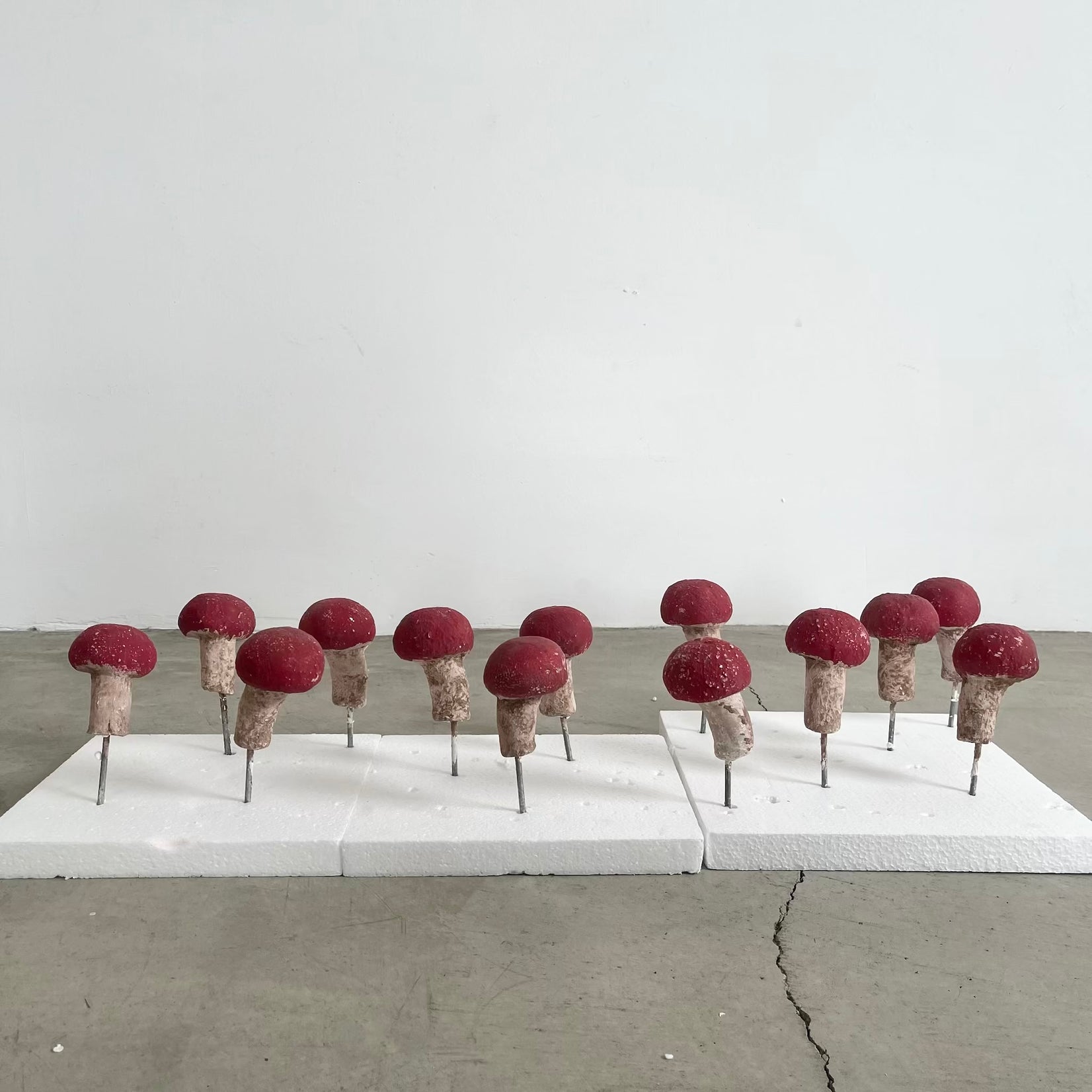 Set of 13 Concrete Mushrooms