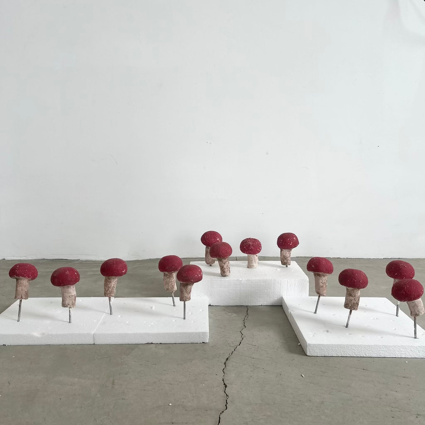 Set of 13 Concrete Mushrooms
