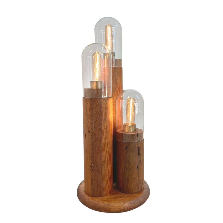Cactus Table Lamp