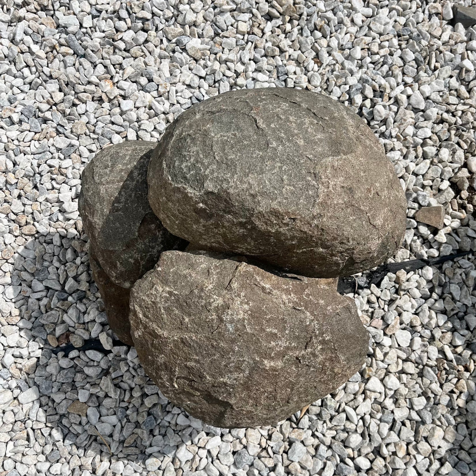 Heavy Sculptural Granite Mushrooms, 1960s France