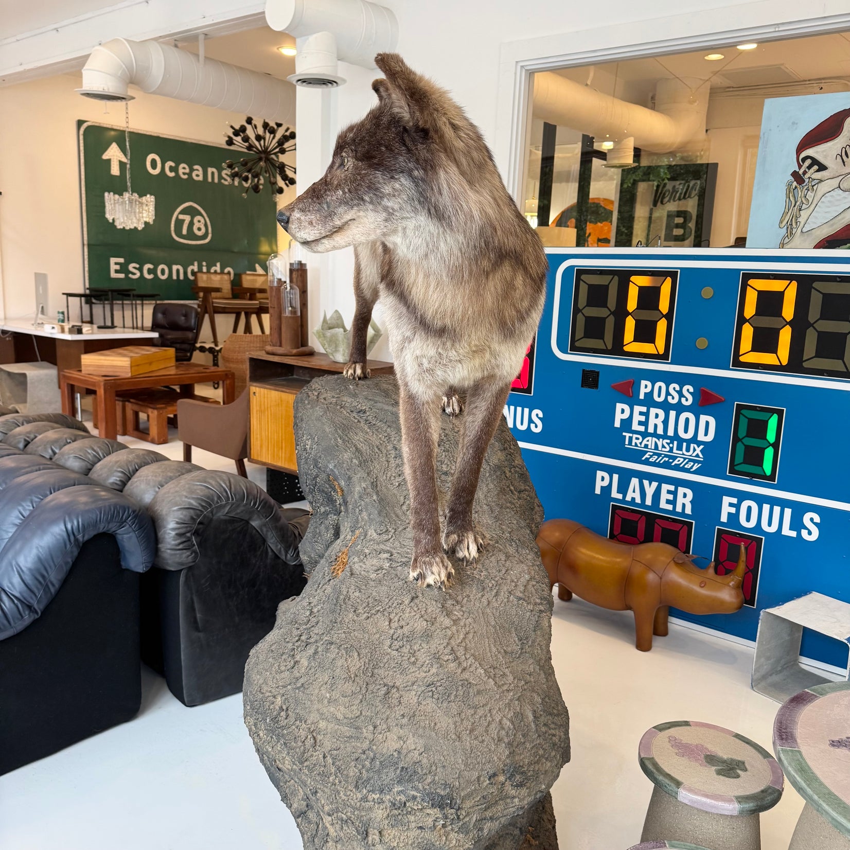Taxidermy Timberwolf on Rock Base