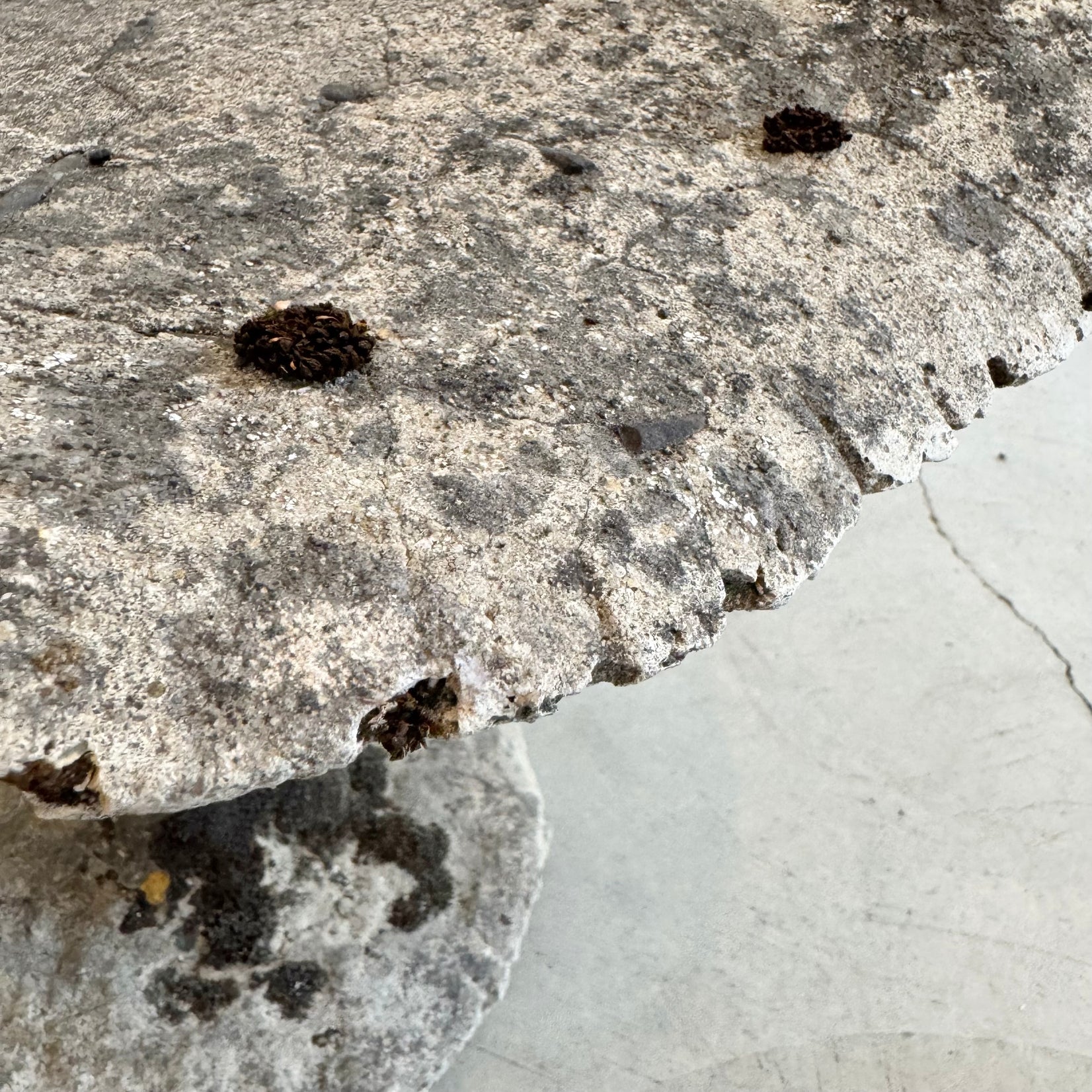 Oversized Concrete Mushroom Sculpture or Stool, France 1950's