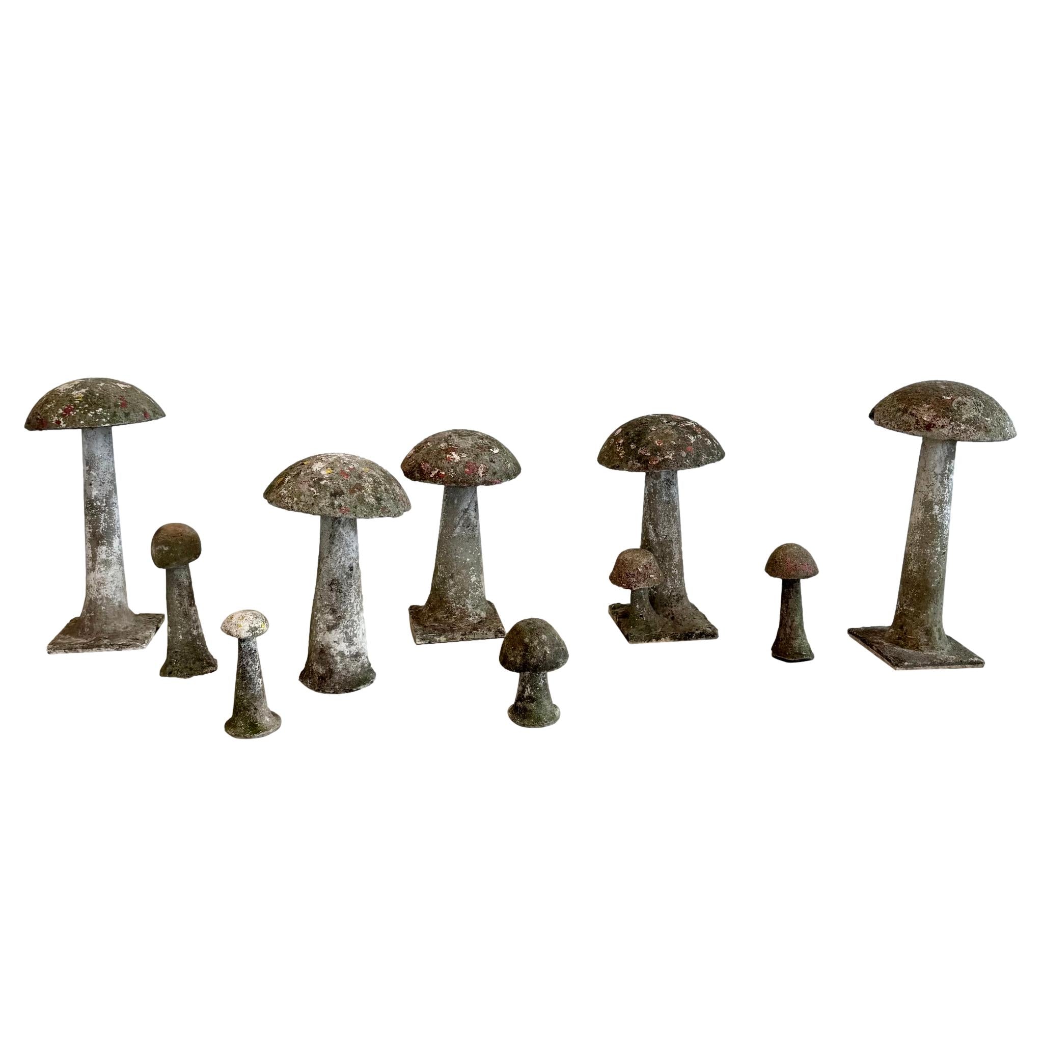 Set of 10 Concrete Mushrooms