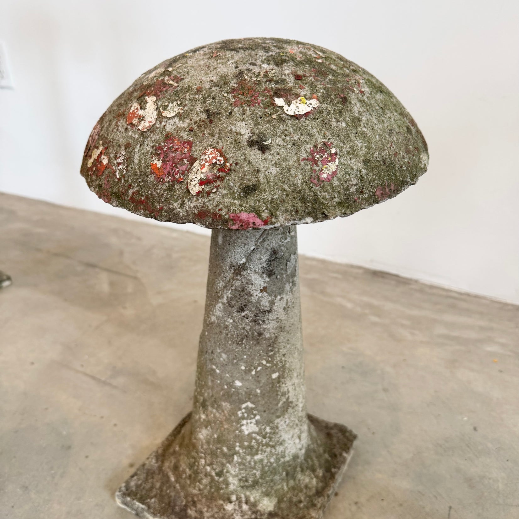 Set of 10 Concrete Mushrooms